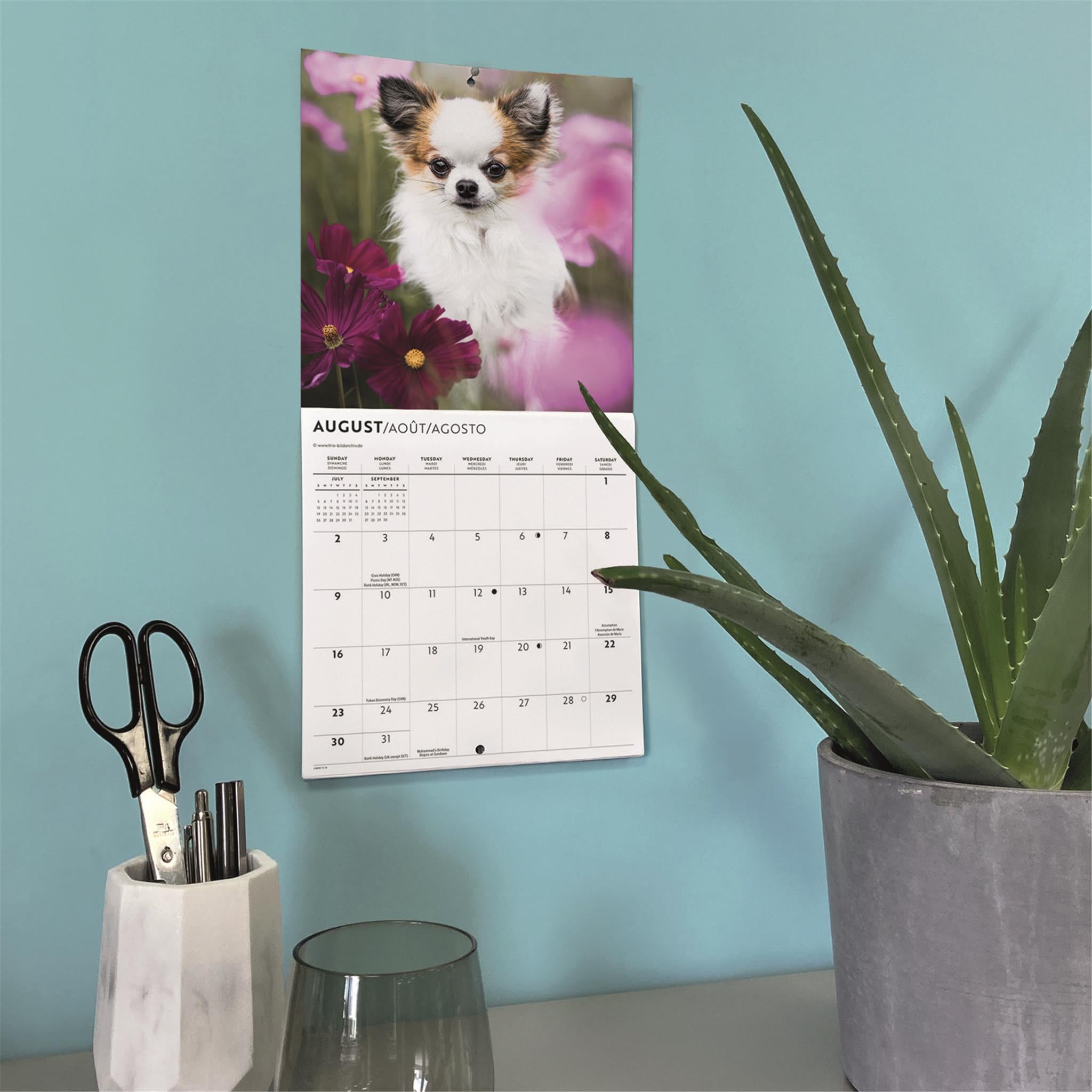 Chihuahua Puppies 2026 Mini Calendar