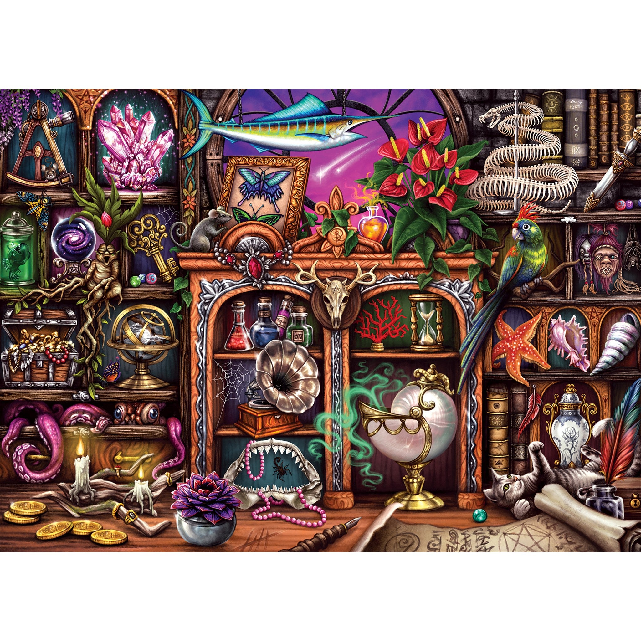 Cabinet of Curiosities 500 Piece Puzzle