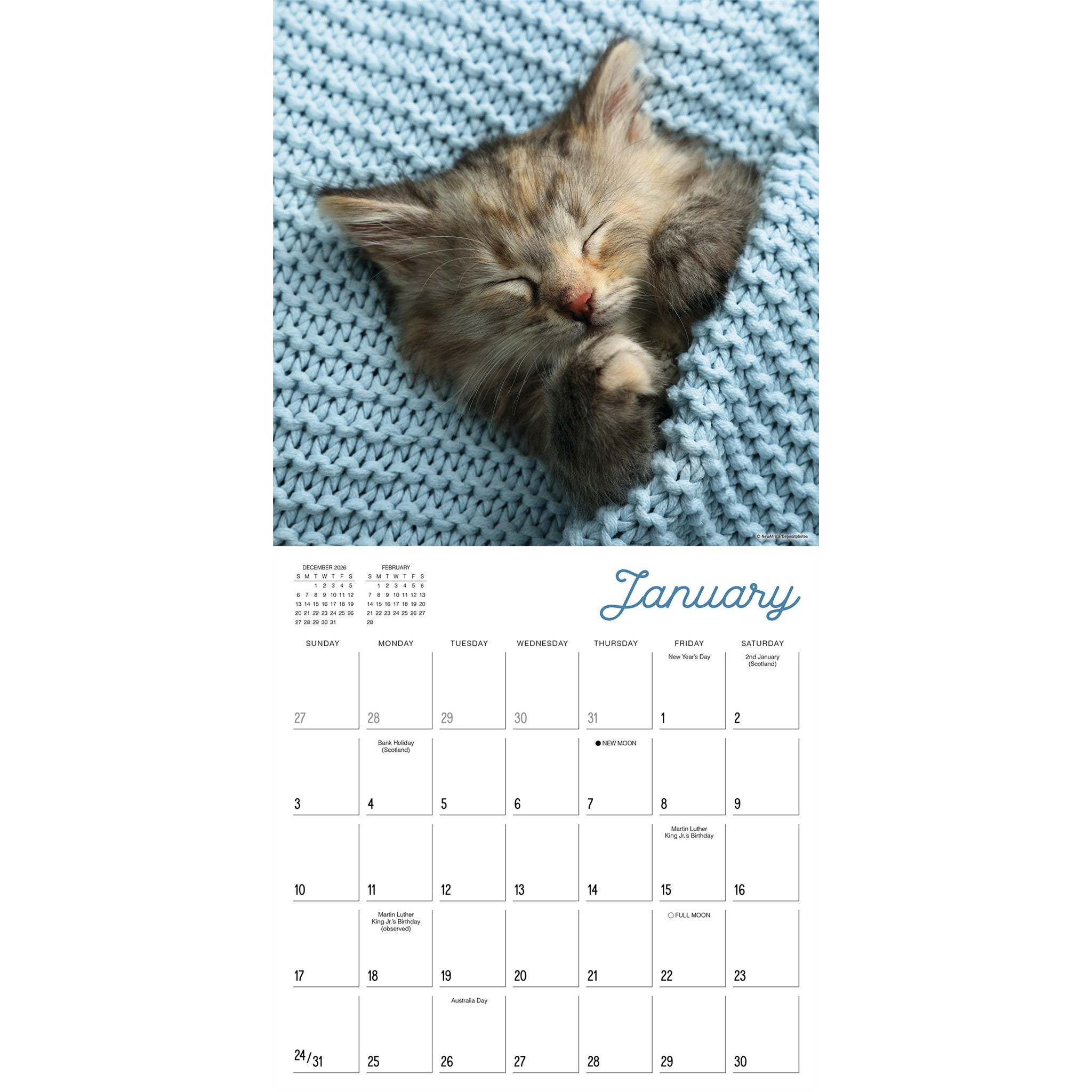 Cat Naps 2027 Wall Calendar - Online Only