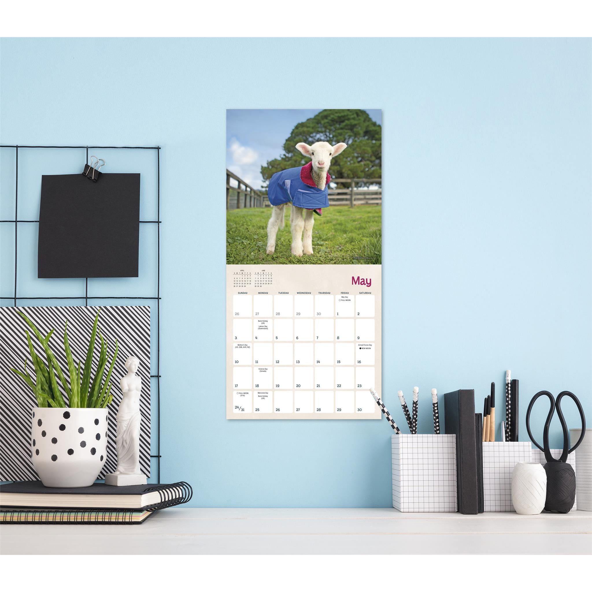 Lambies In Jammies And Goats In Coats 2026 Mini Calendar