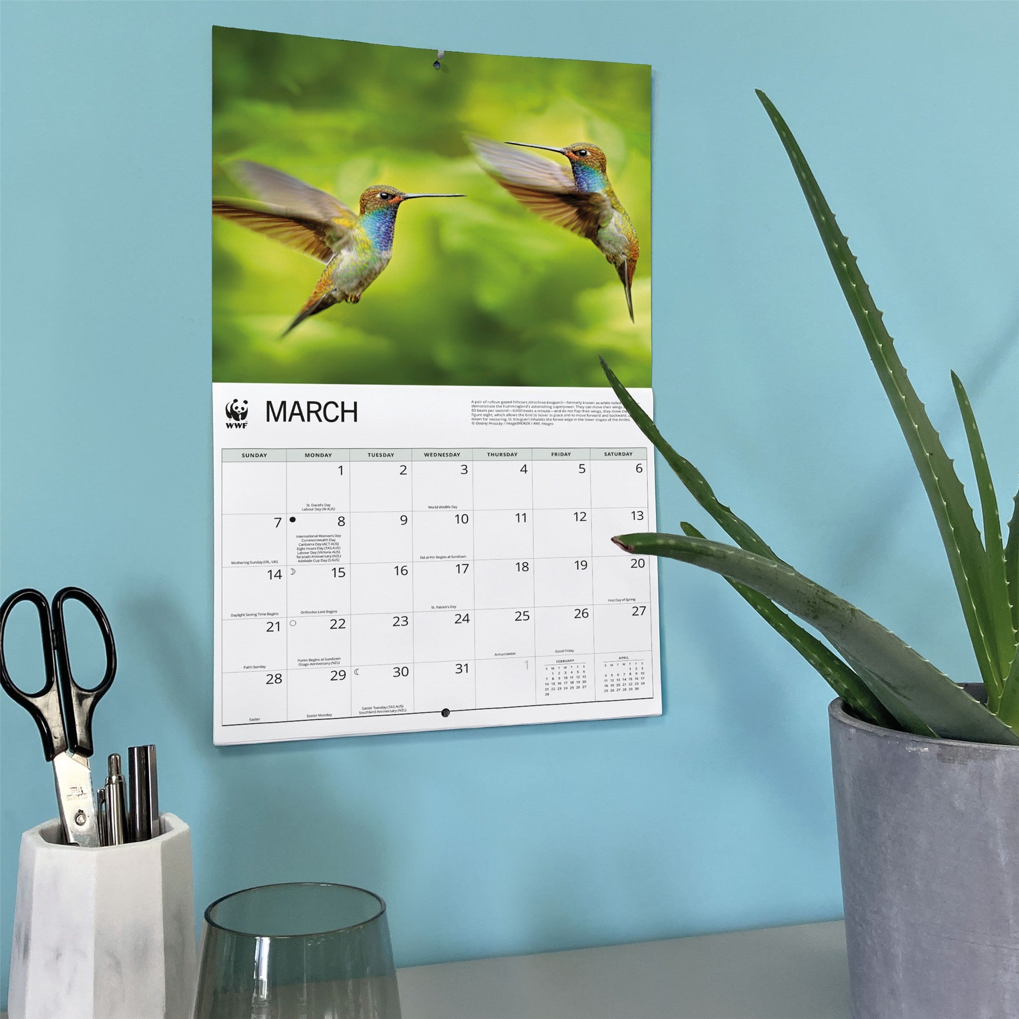 World Wildlife Fund Hummingbirds 2027 Wall Calendar