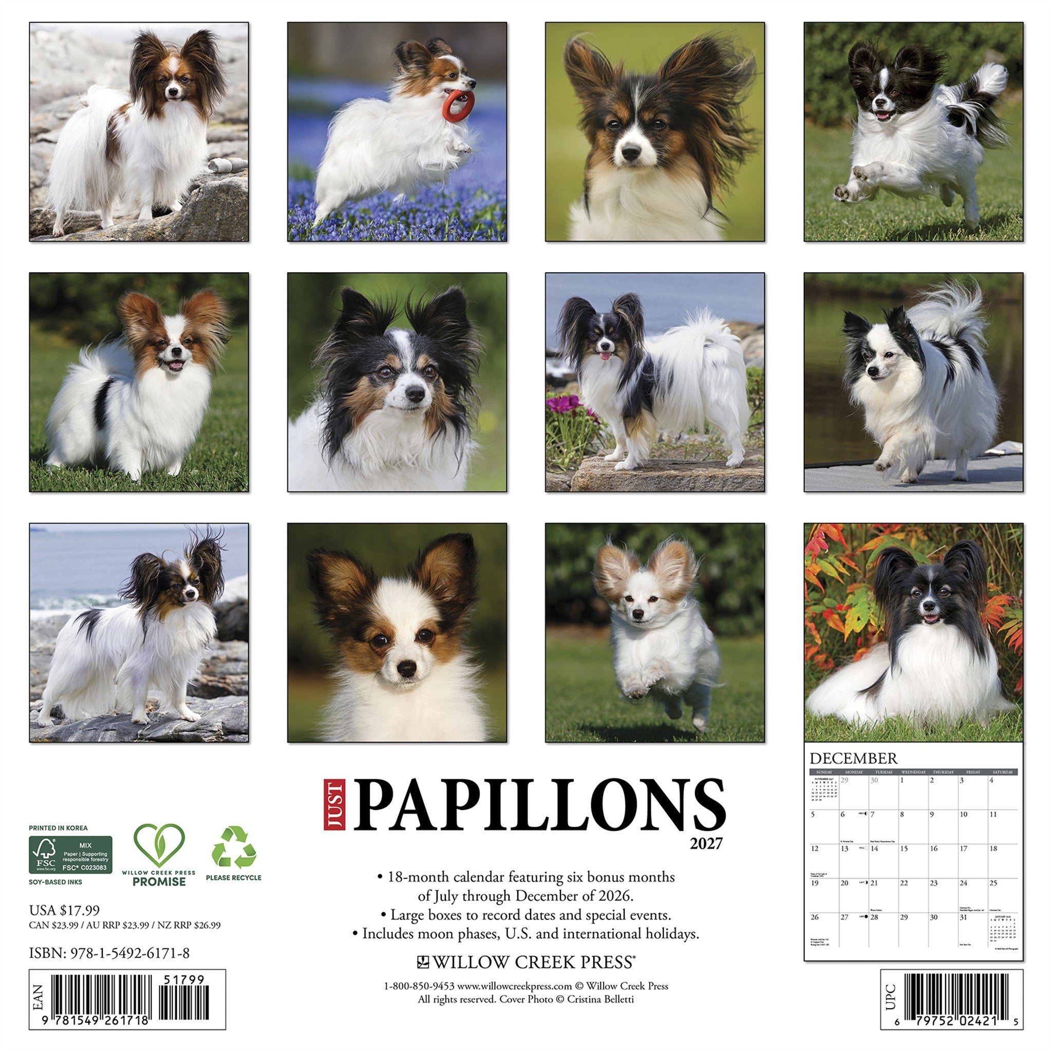 Papillons 2027 Wall Calendar