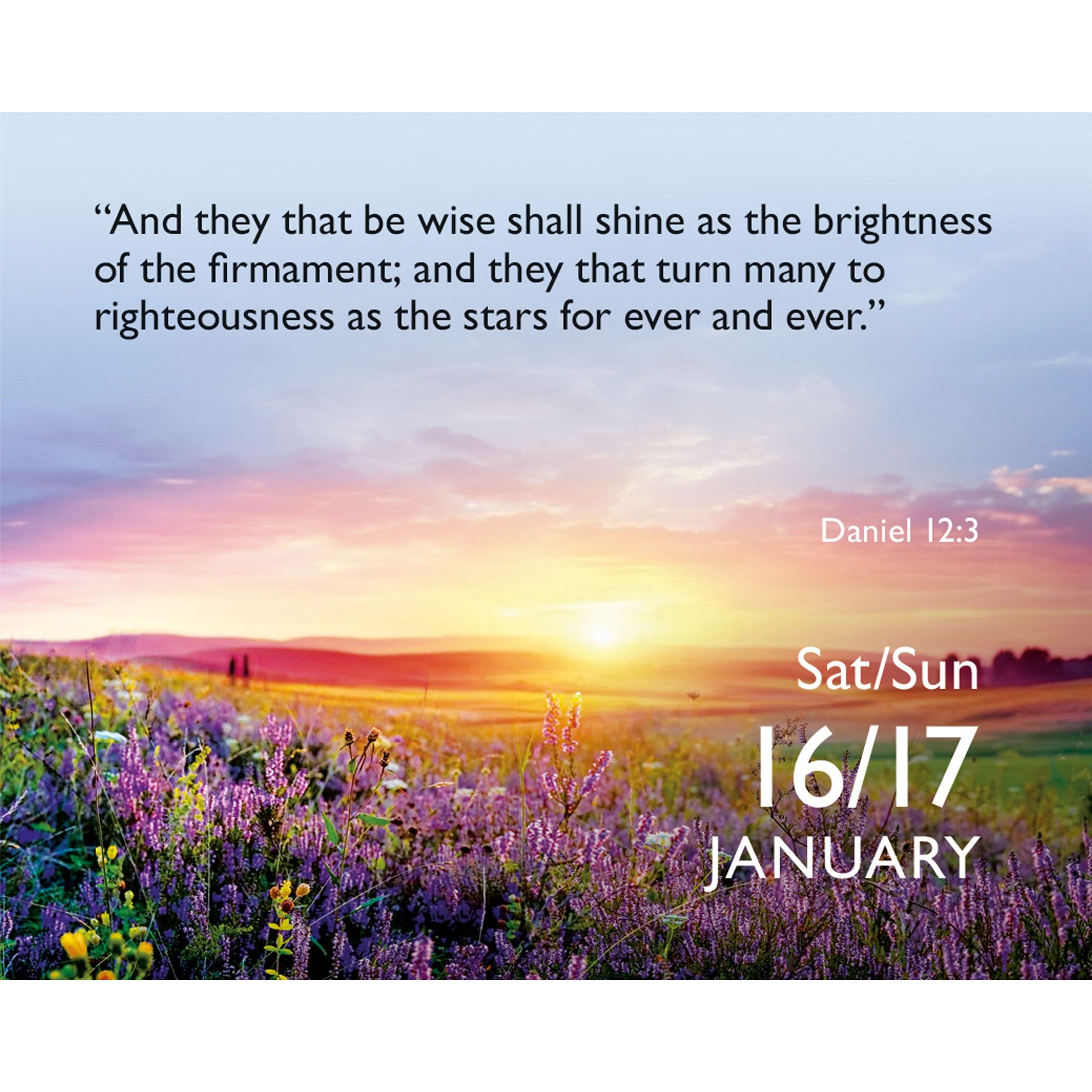 Bible Verse a Day 2027 Small Box Calendar