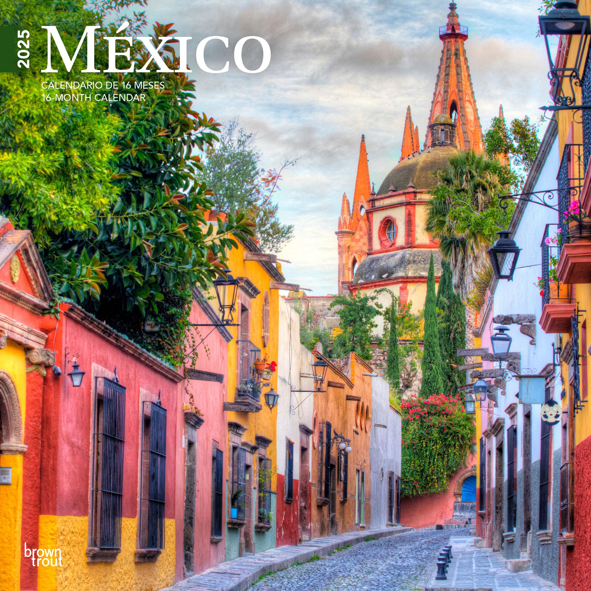Mexico Wall 2025 Calendar