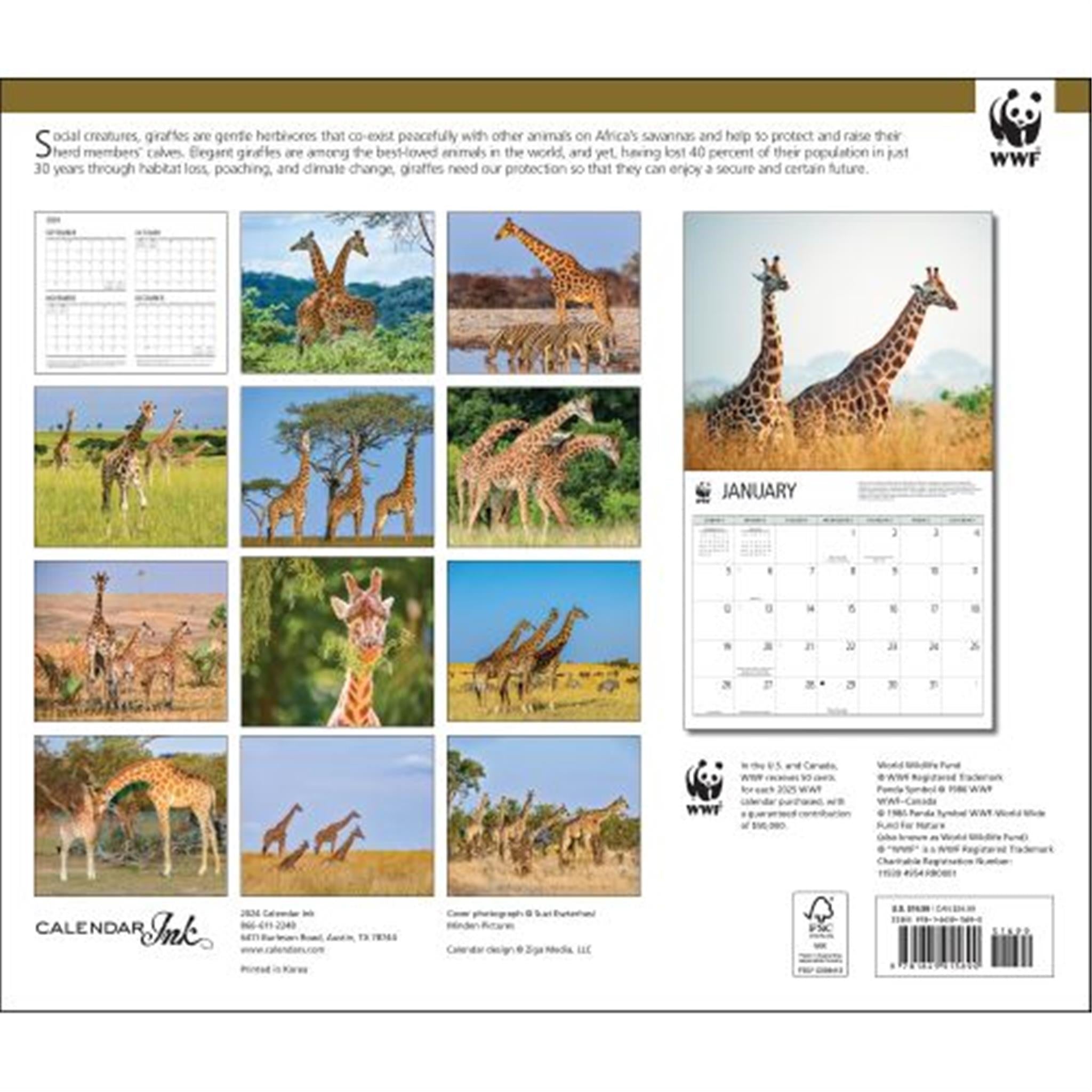 Giraffes World Wildlife Fund Wall 2025 Calendar