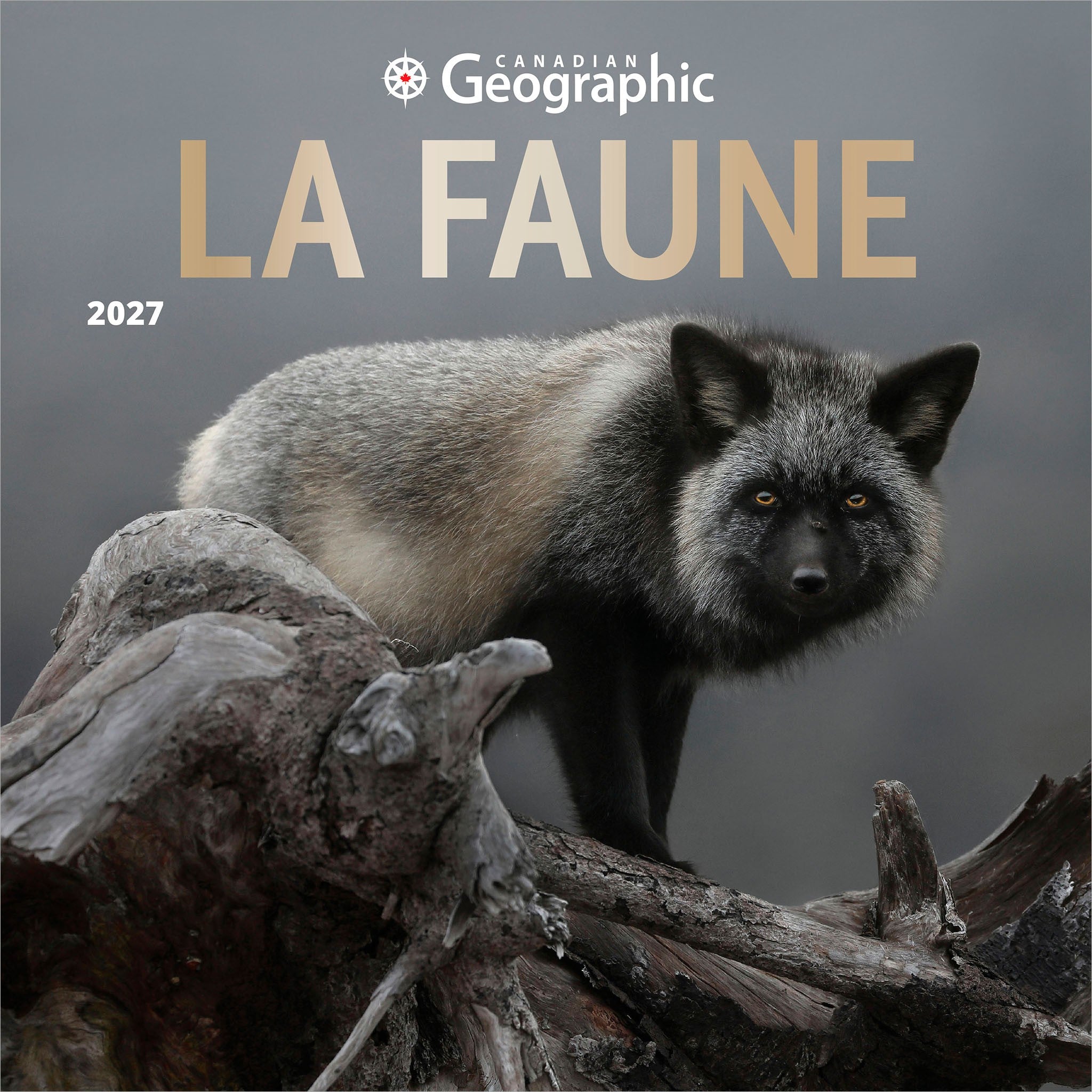 Canadian Geographic La faune 2027 Wall Calendar (French)