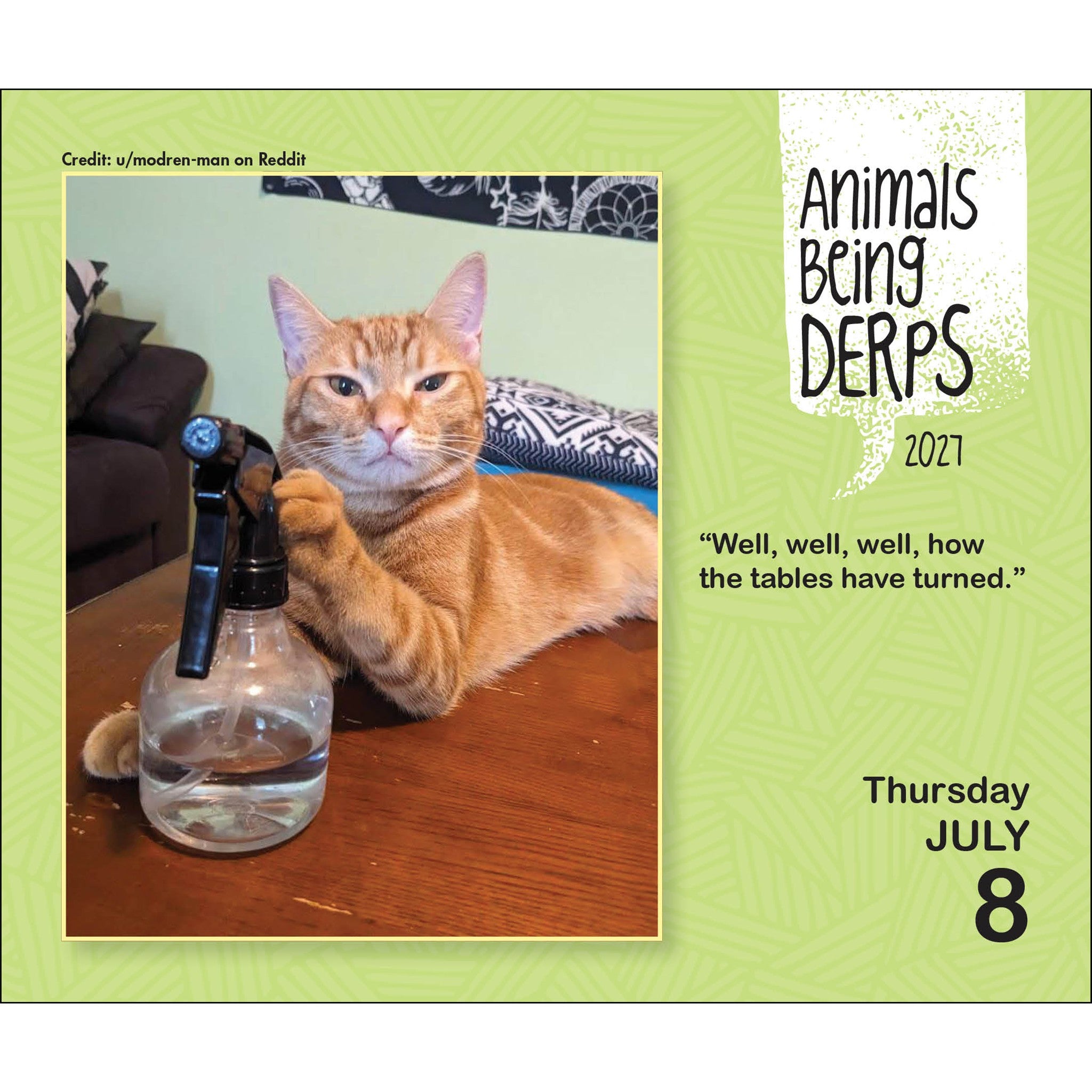 Animals Being Derps 2027 Box Calendar