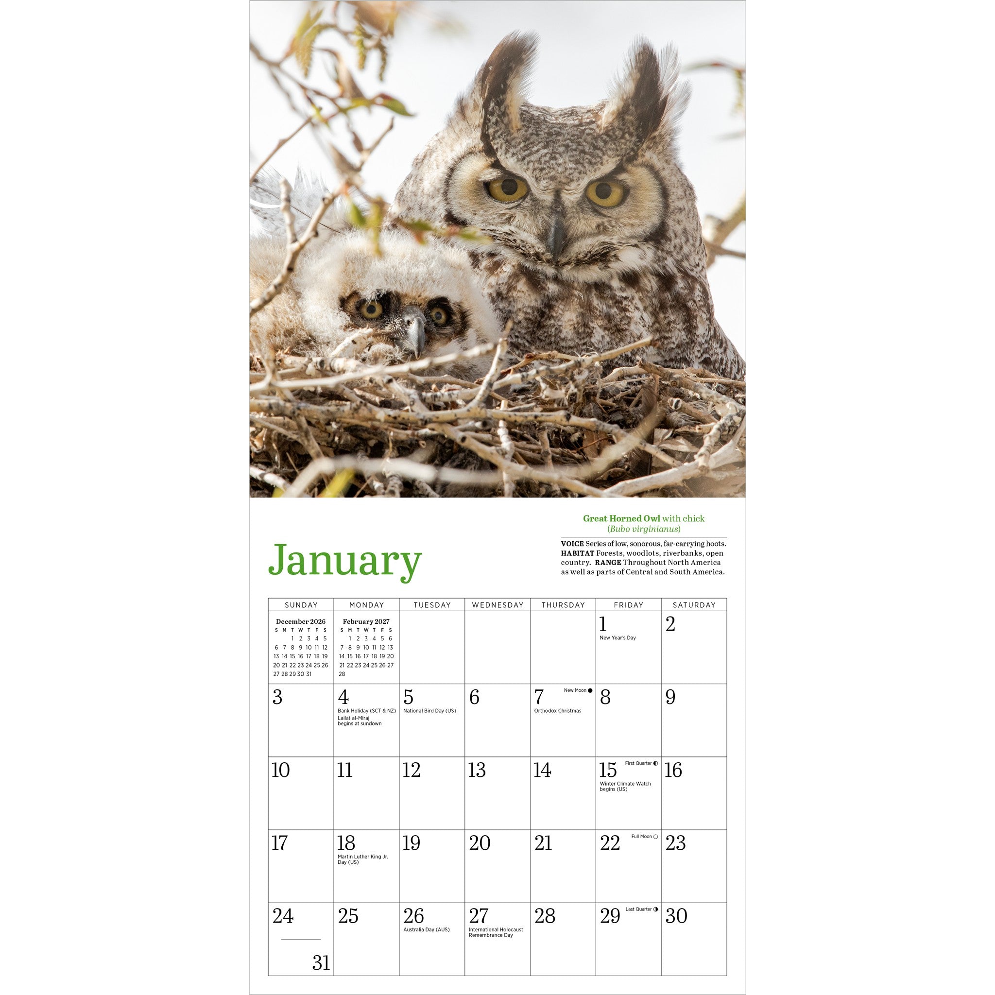 Audubon Little Owls 2027 Mini Calendar - Online Only