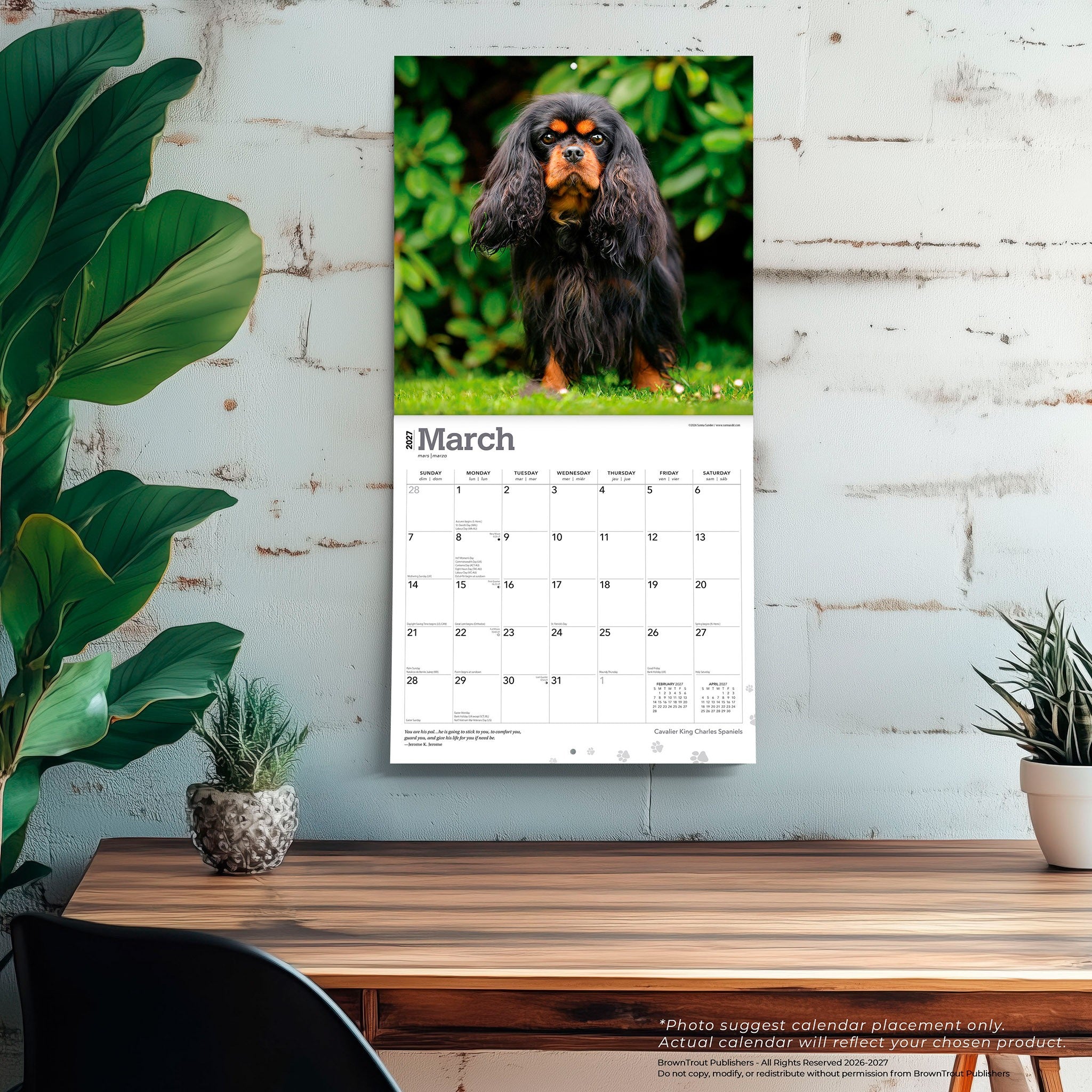 Cavalier King Charles Spaniels 2027 Wall Calendar