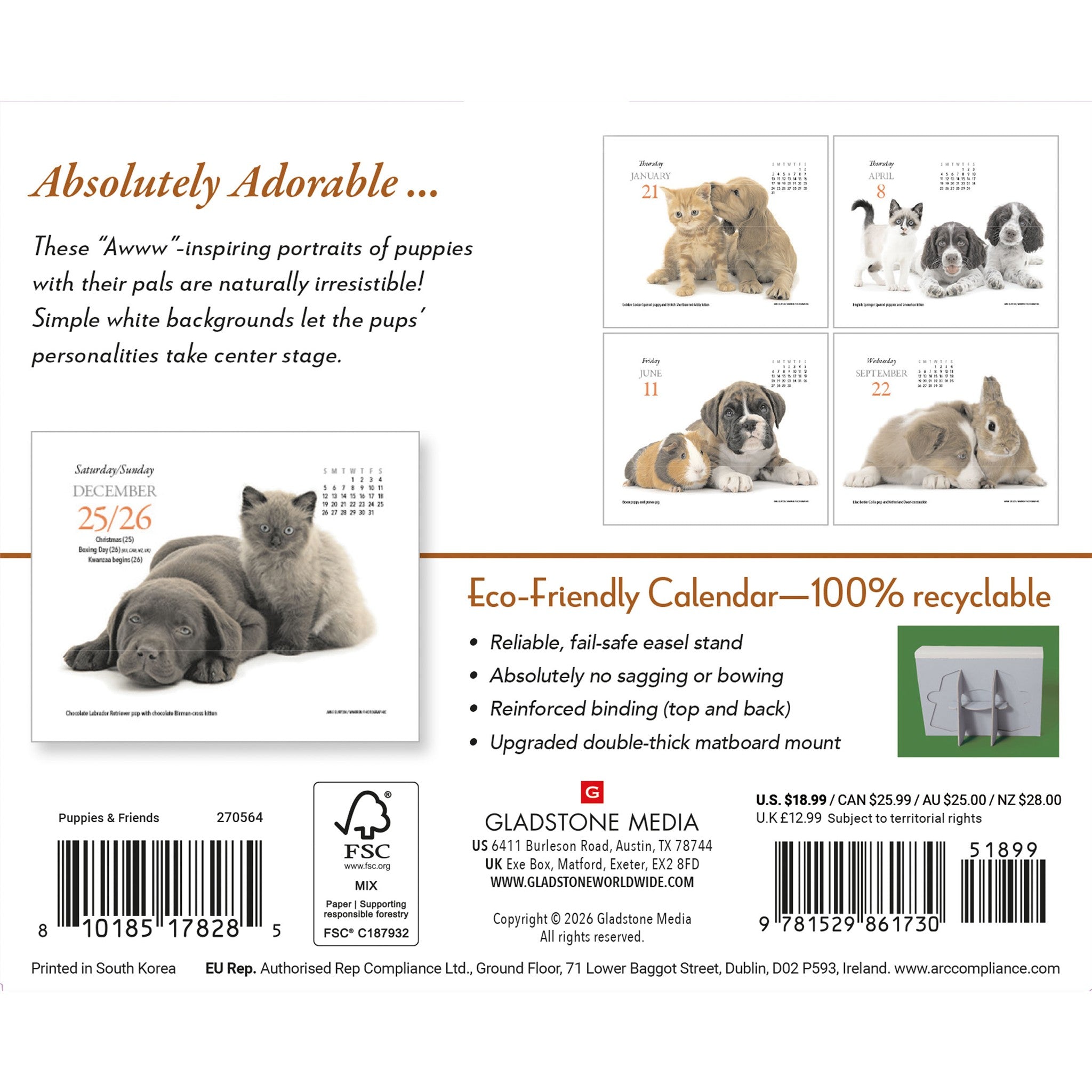 Puppies and Friends 2027 Box Calendar