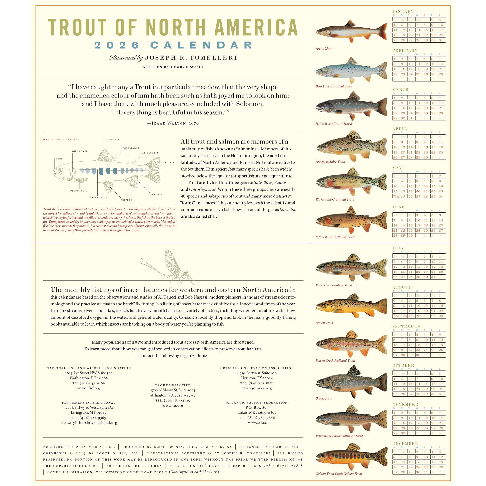 Trout Of North America 2026 Wall Calendar