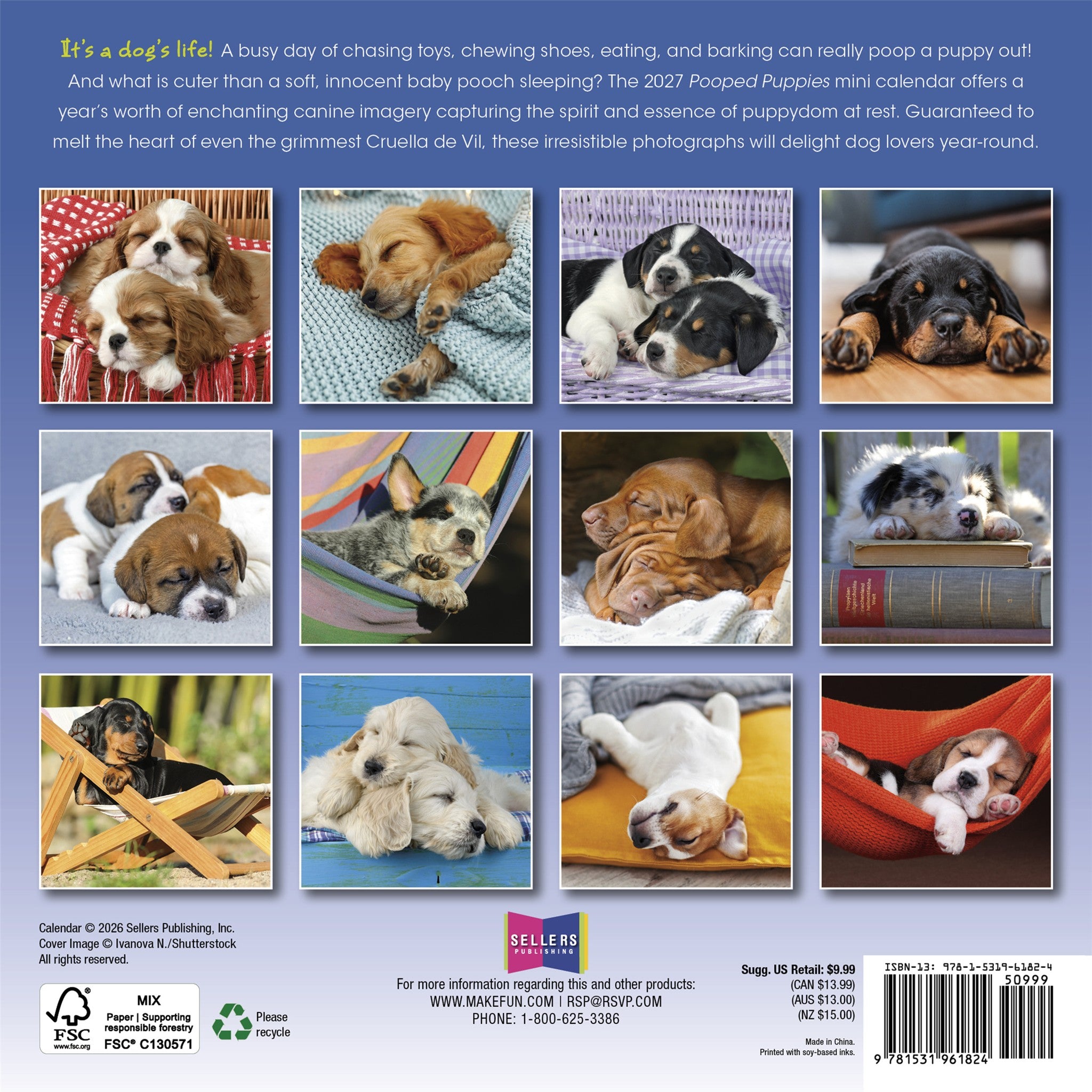 Pooped Puppies 2027 Mini Calendar