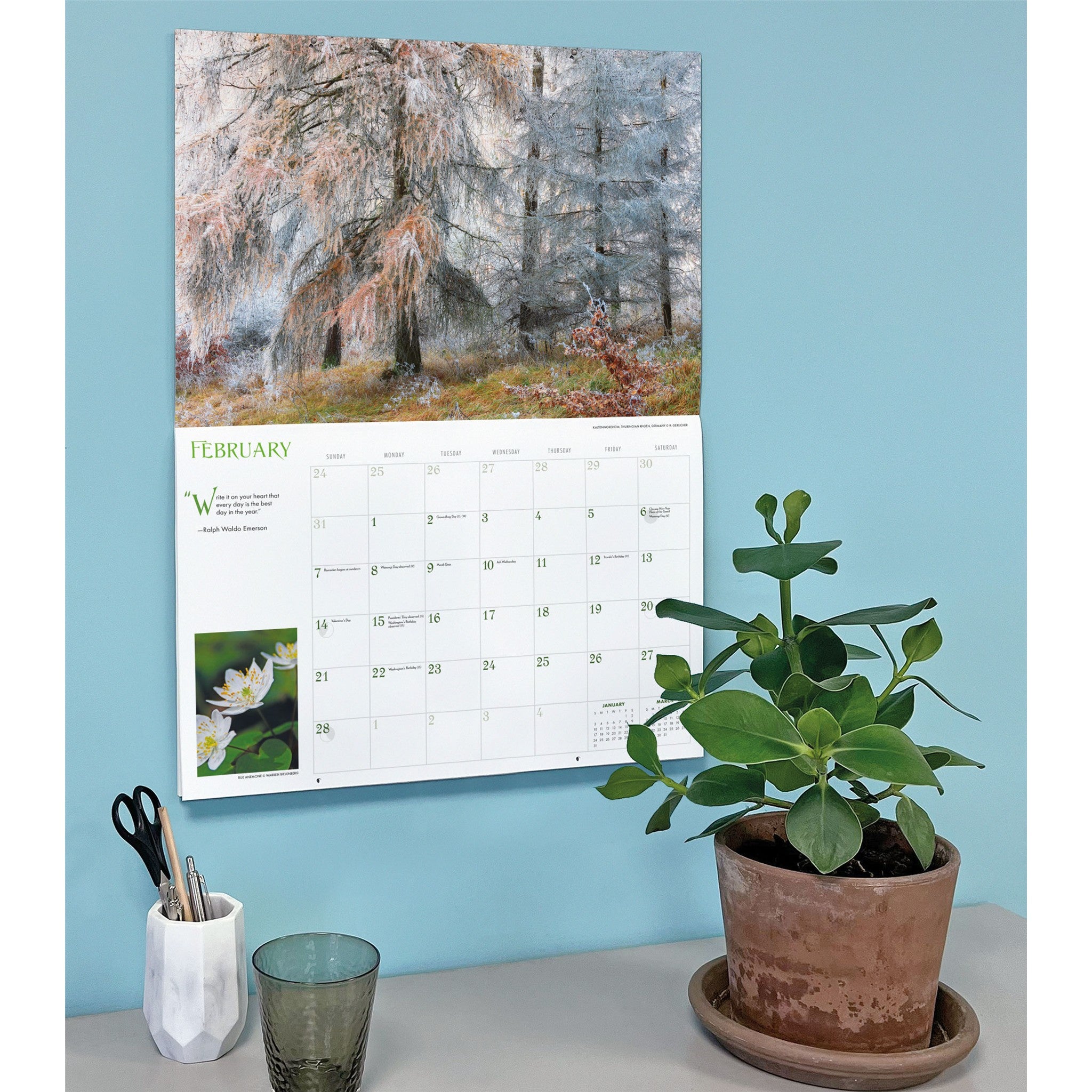 Into the Woods 2027 Wall Calendar