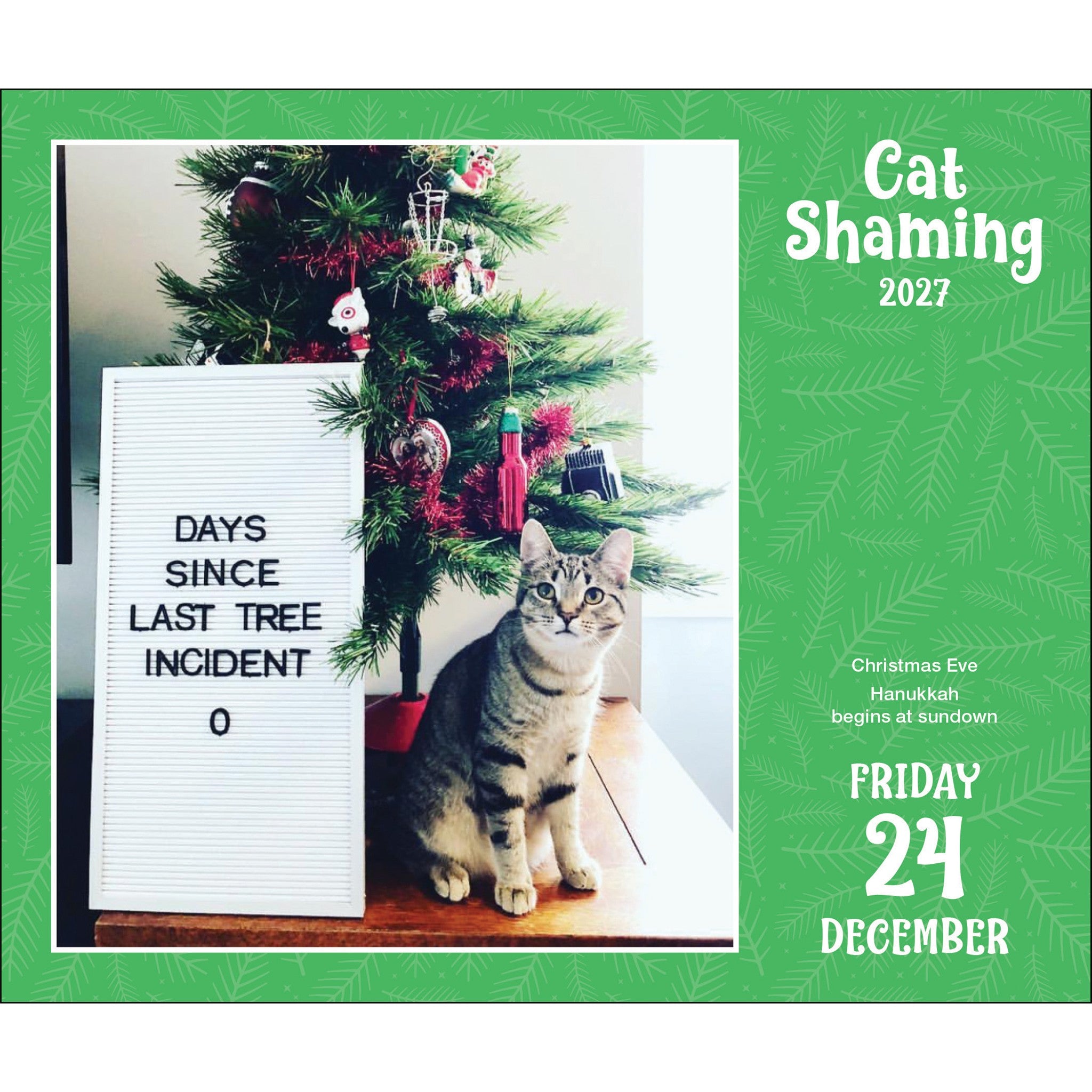 Cat Shaming 2027 Box Calendar