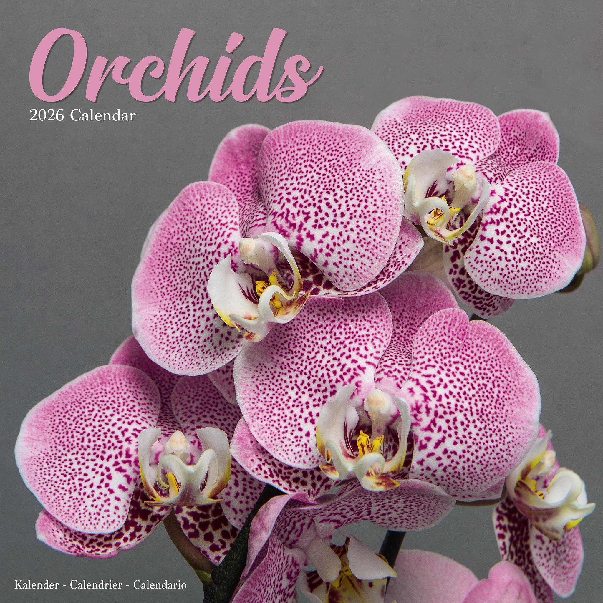 Orchids 2026 Wall Calendar