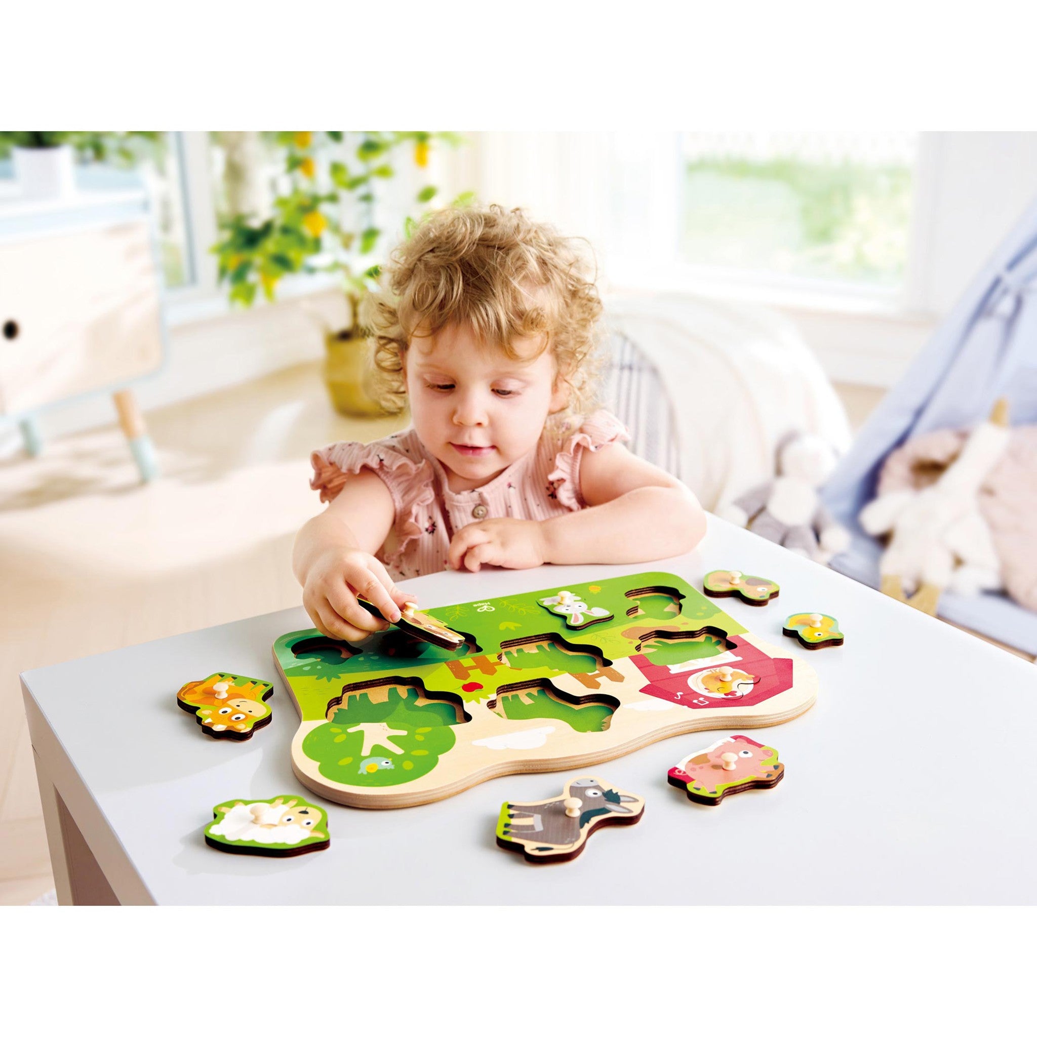 Farm Peg Puzzle