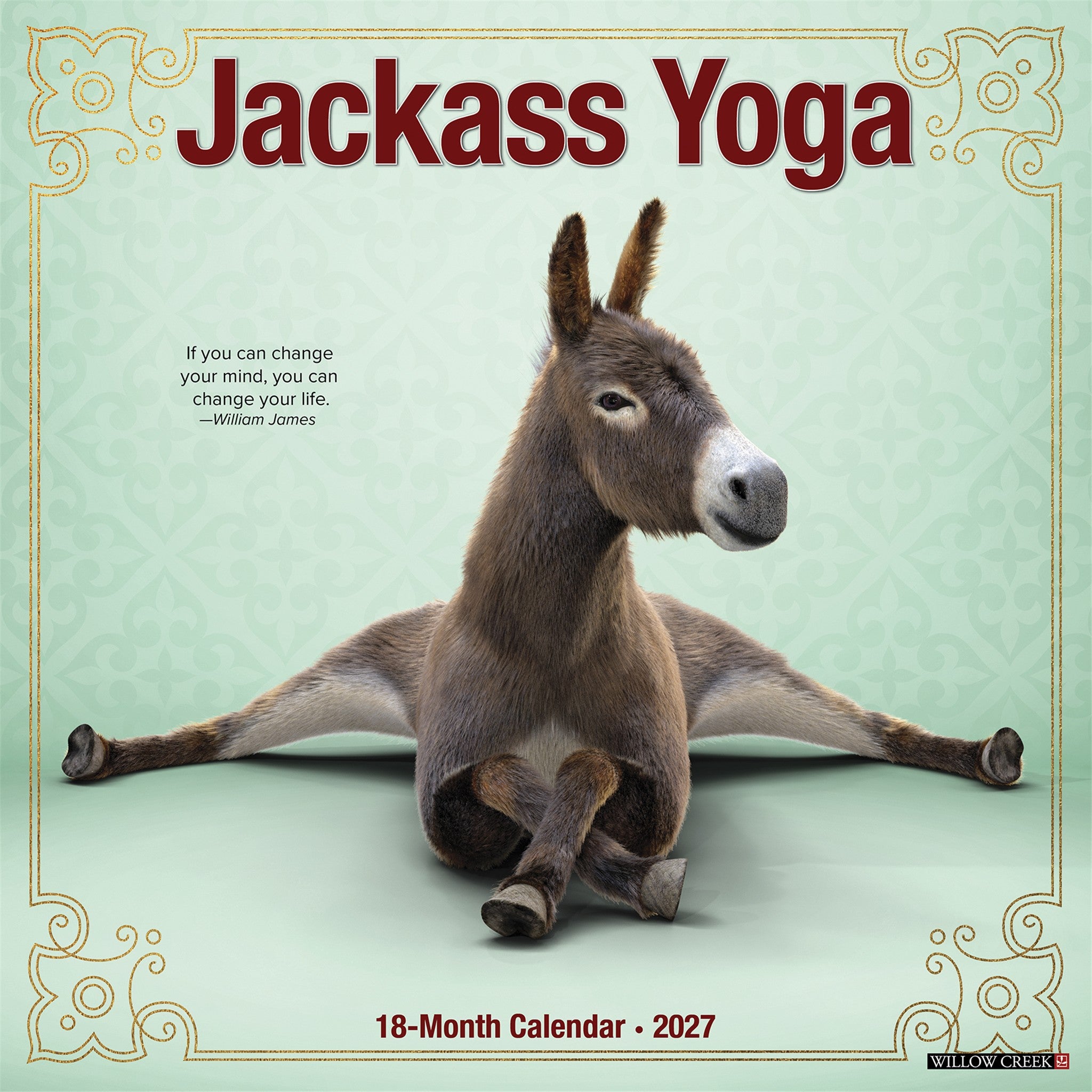 Jackass Yoga 2027 Wall Calendar
