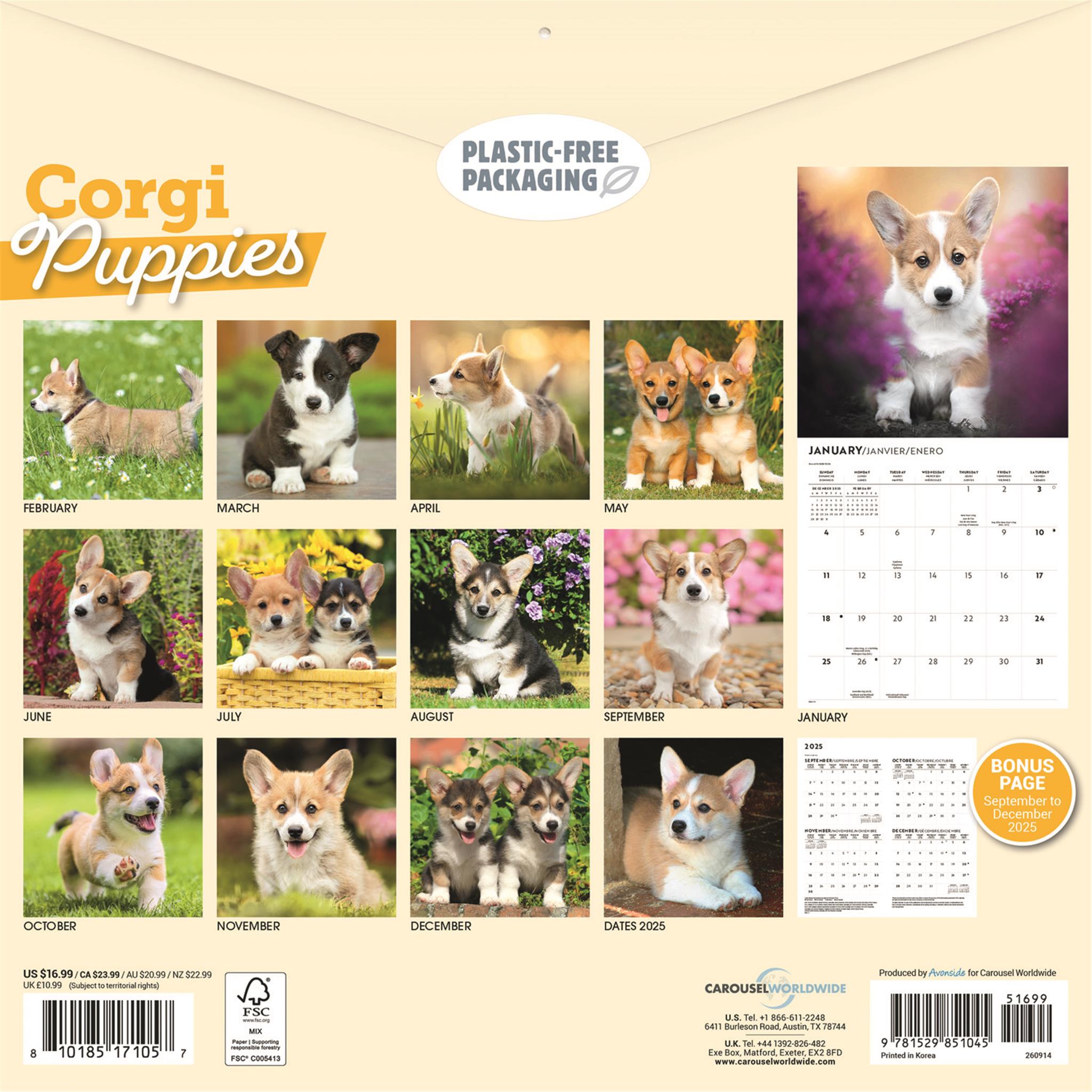 Corgi Puppies 2026 Wall Calendar