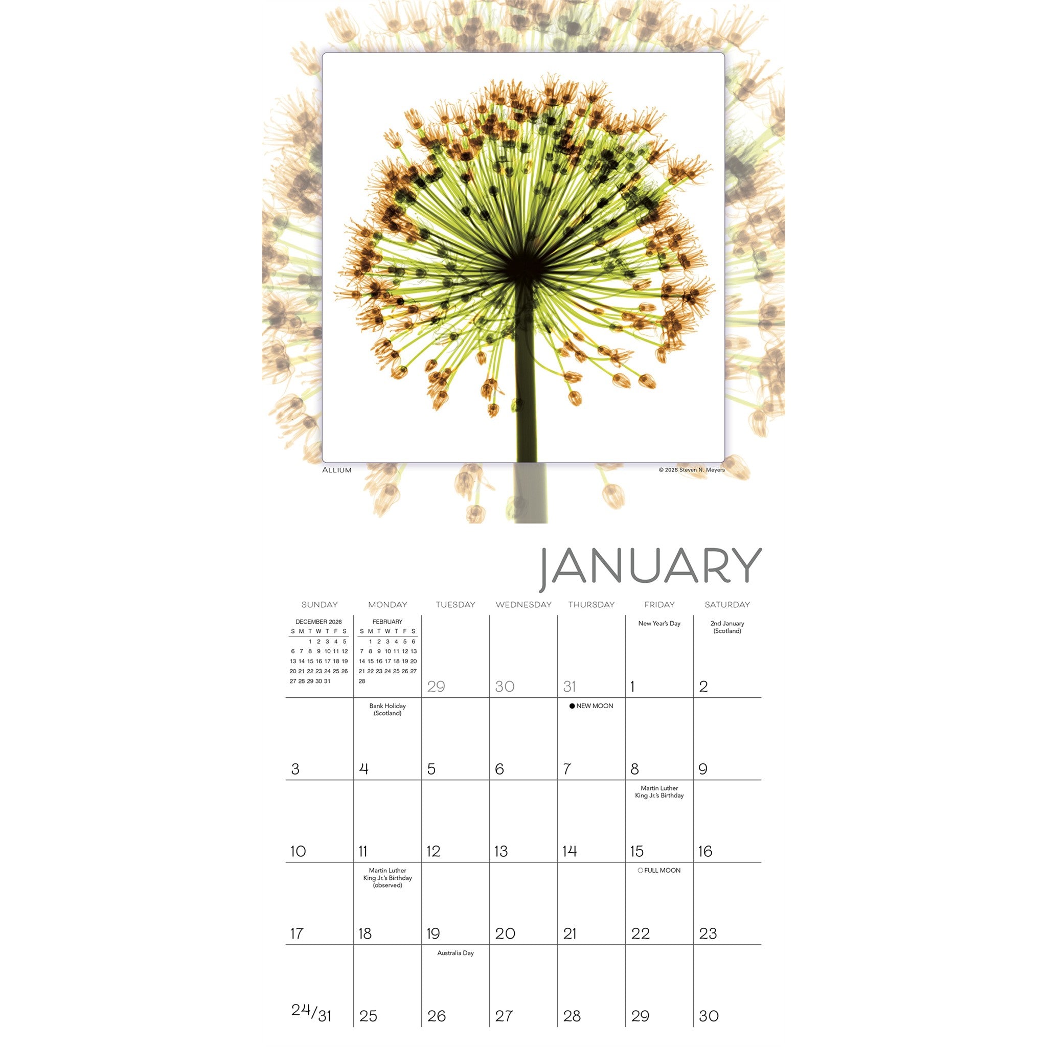Flower Spirits 2027 Mini Calendar