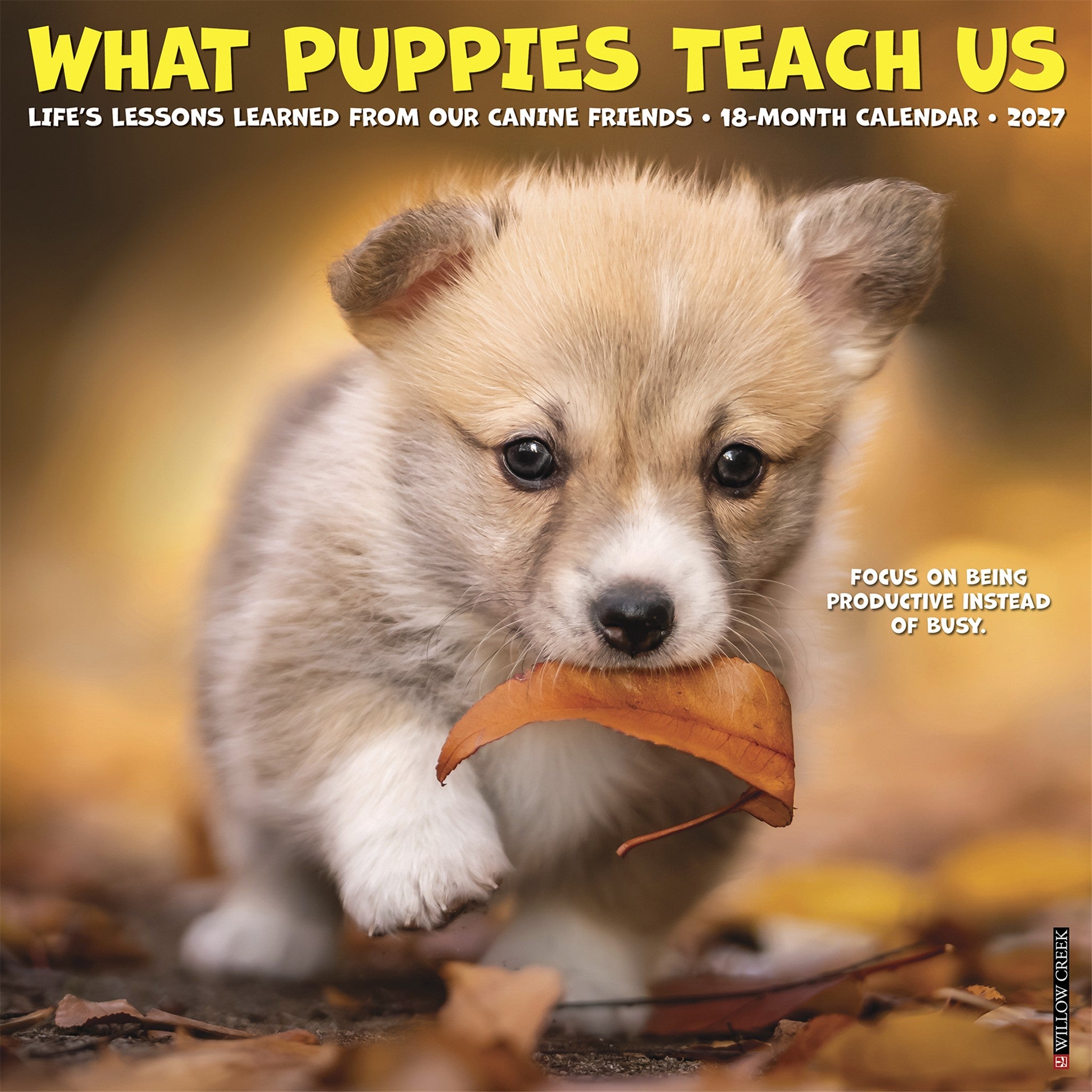 What Puppies Teach Us 2027 Wall Calendar