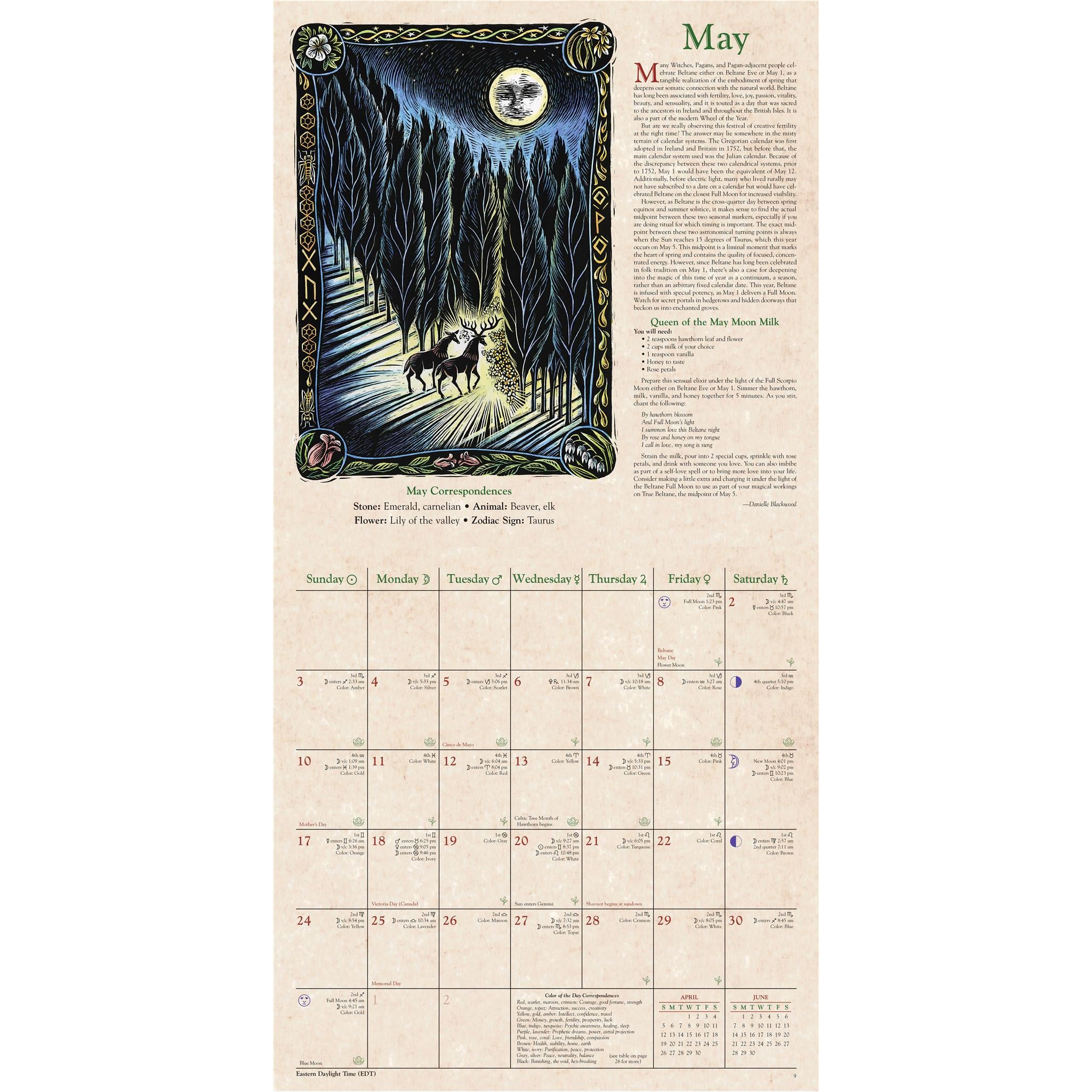 Witches 2026 Wall Calendar