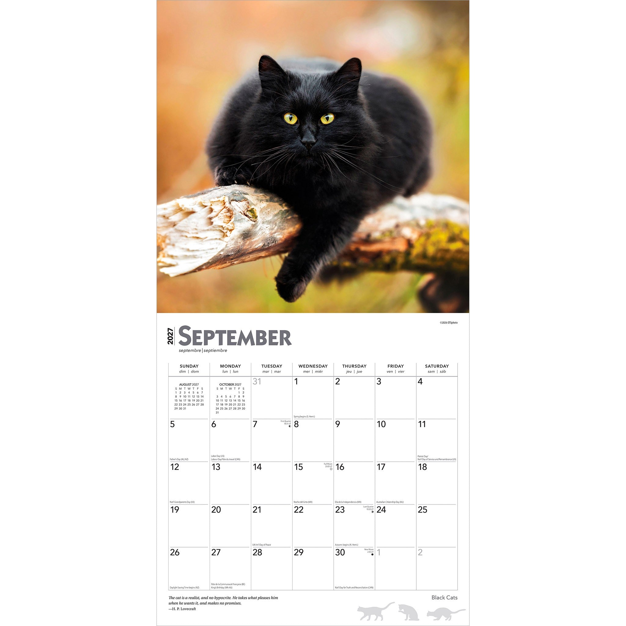 Black Cats 2027 Wall Calendar