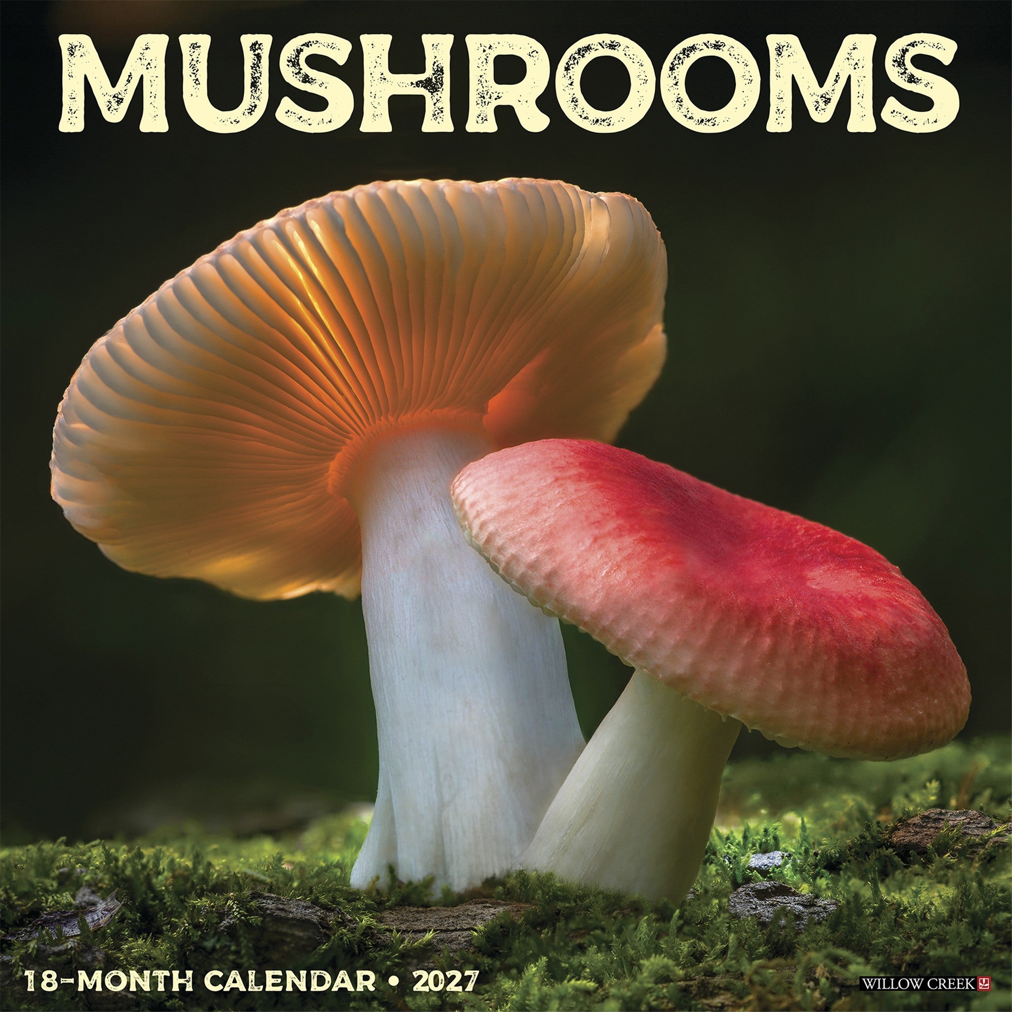Mushrooms 2027 Wall Calendar - Online Only