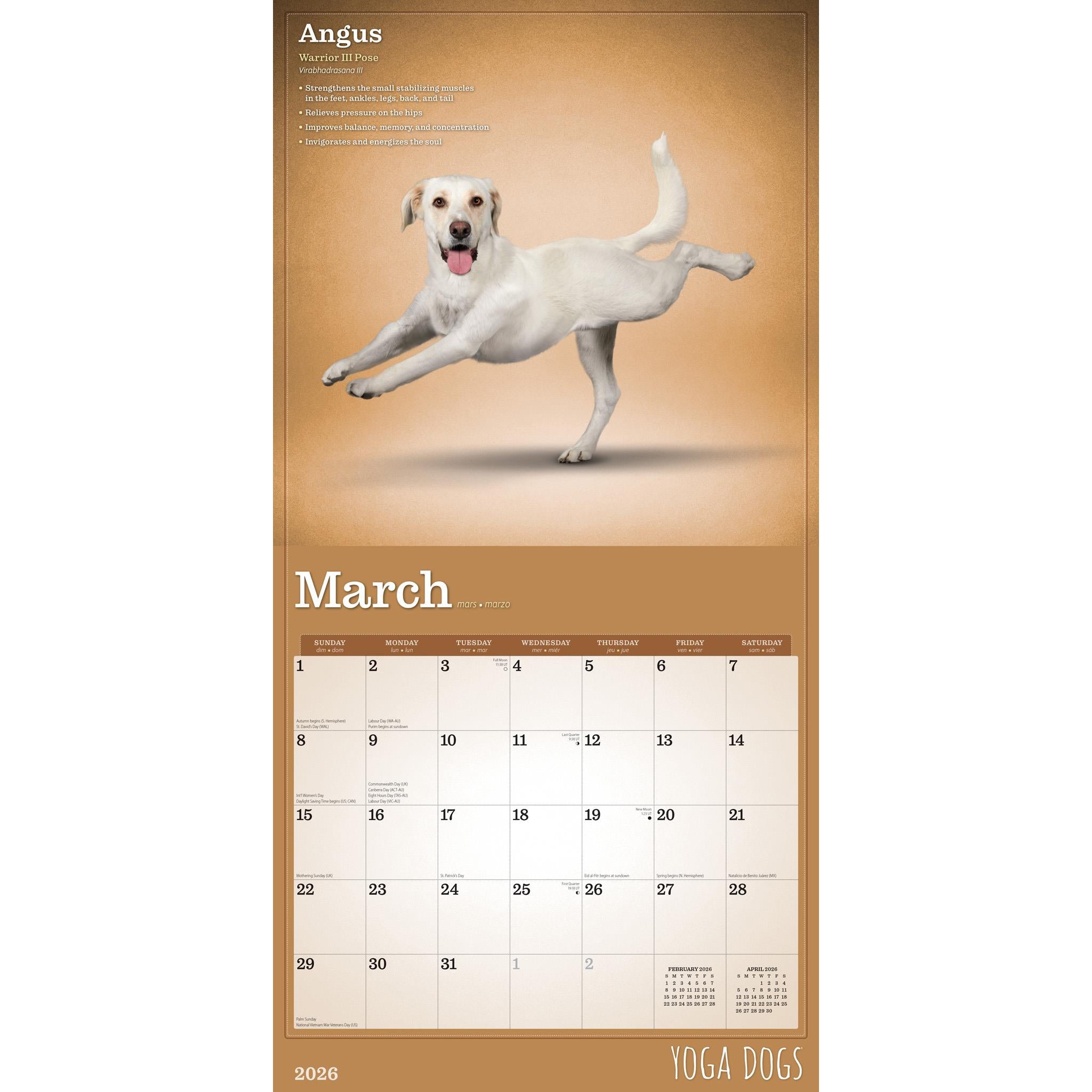 Yoga Dogs 2026 Wall Calendar