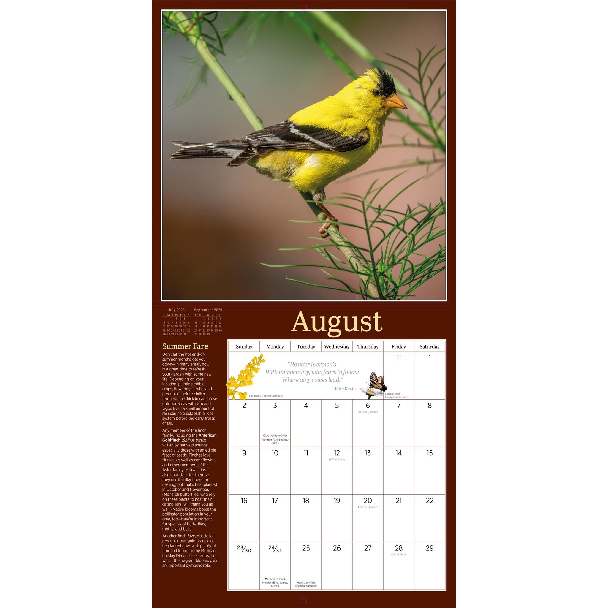 Audubon Birds In The Garden 2026 Wall Calendar