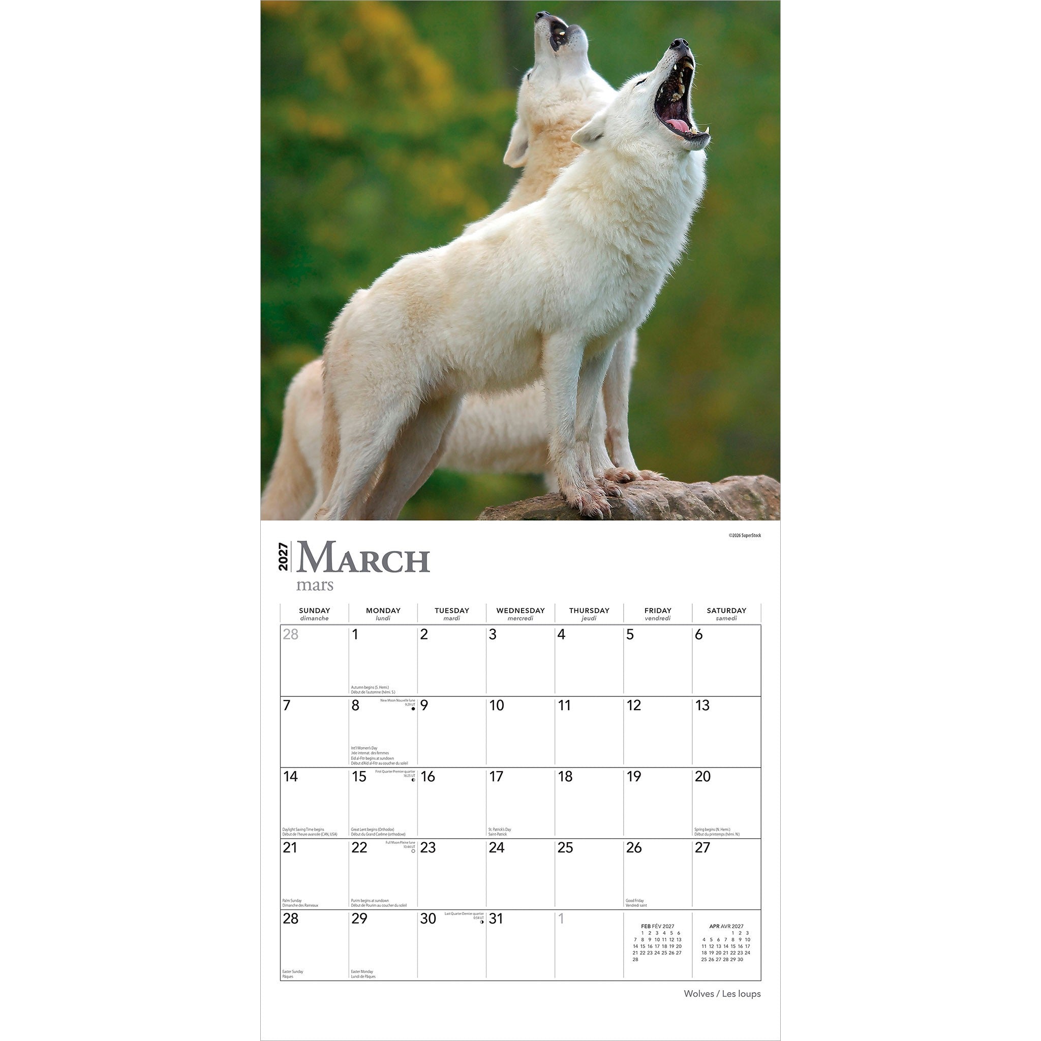 Wolves / Les loups 2027 Wall Calendar