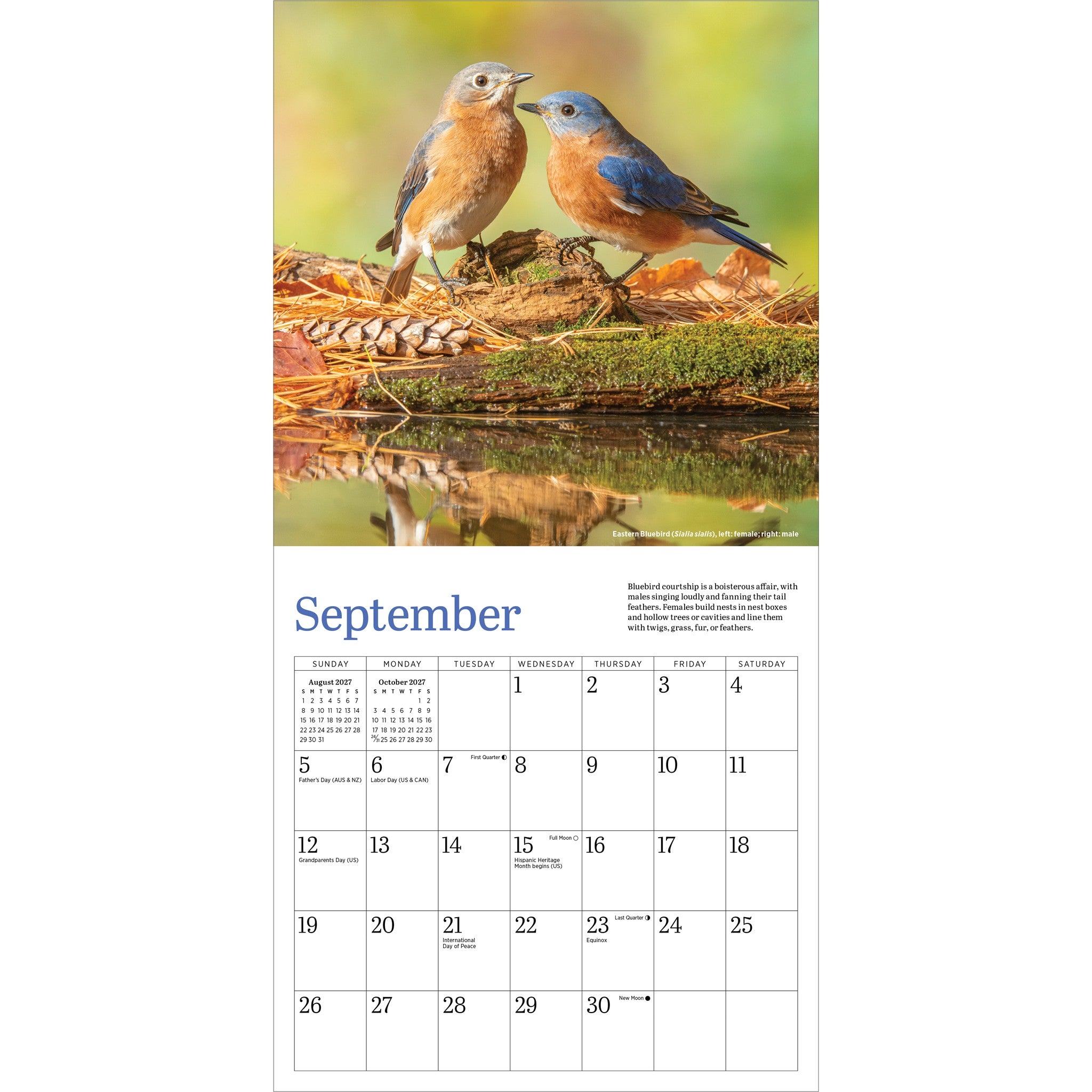 Audubon Bluebirds 2027 Mini Calendar - Online Only