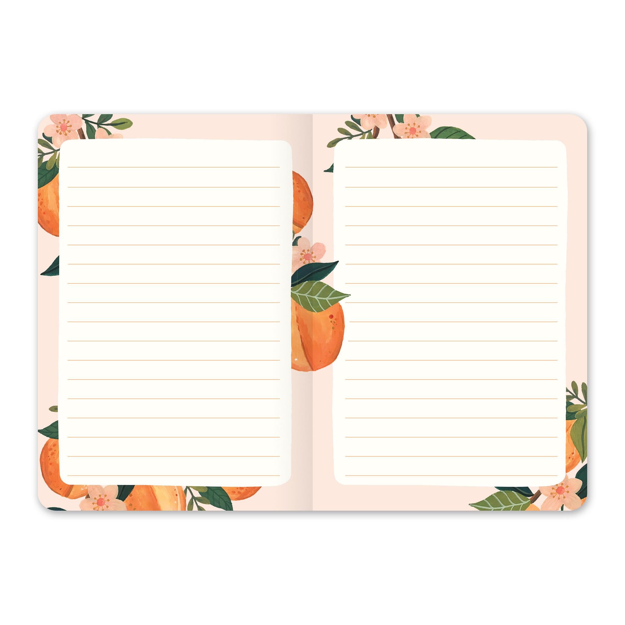 Fruit Flora 2025-2026 Monthly Pocket Planner Calendar - Online Exclusive