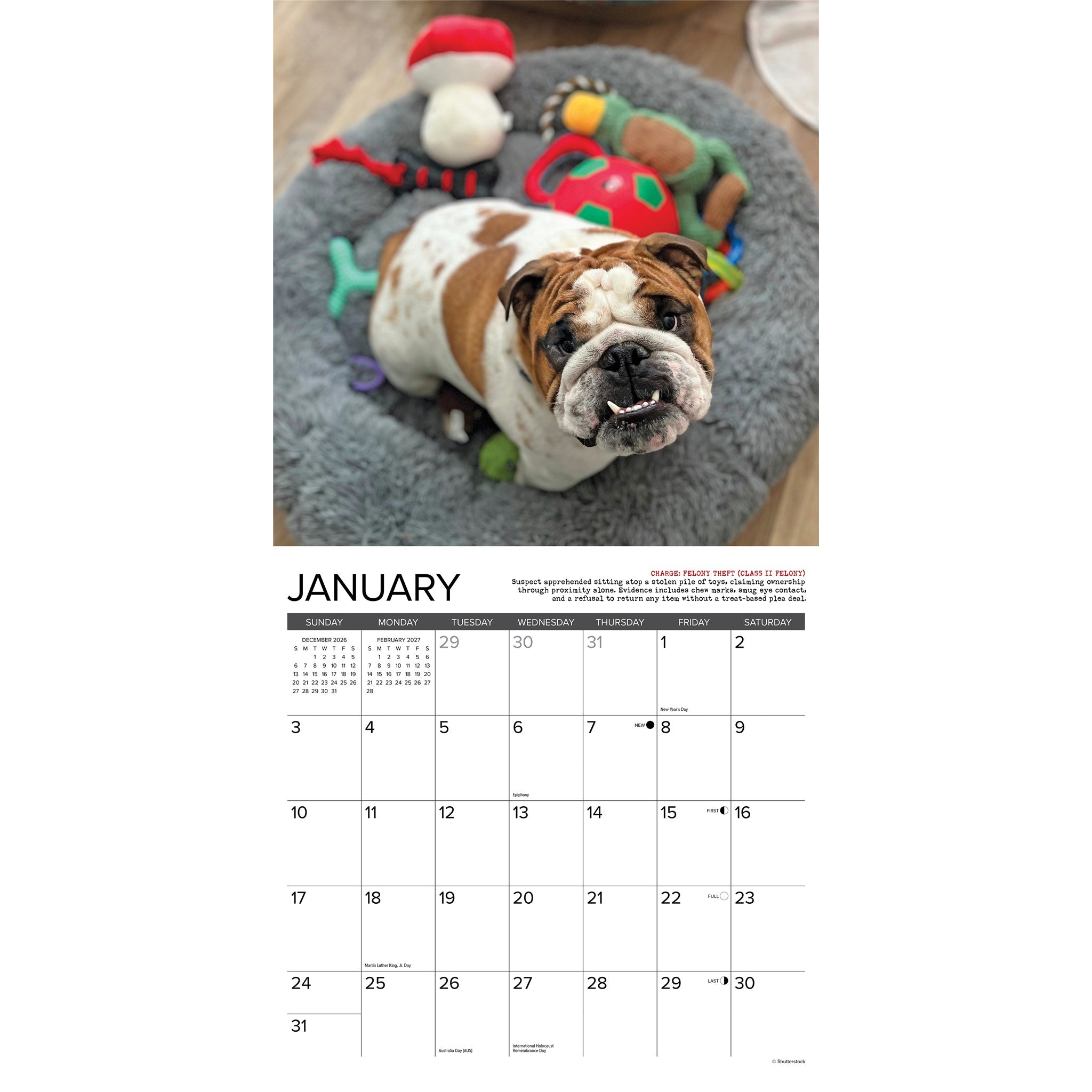 Bulldog Bad Boys 2027 Wall Calendar