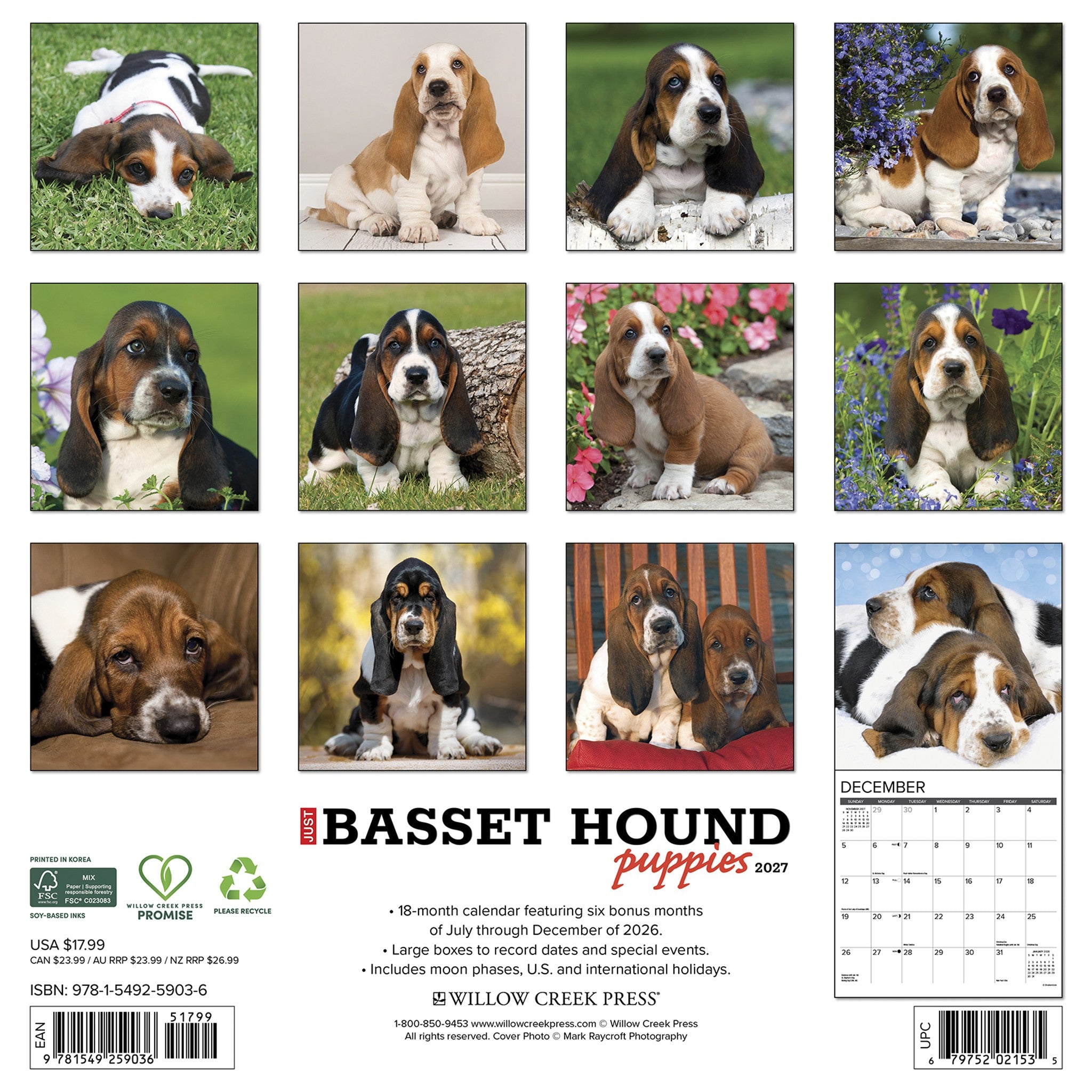 Basset Hound Puppies 2027 Wall Calendar - Online Only