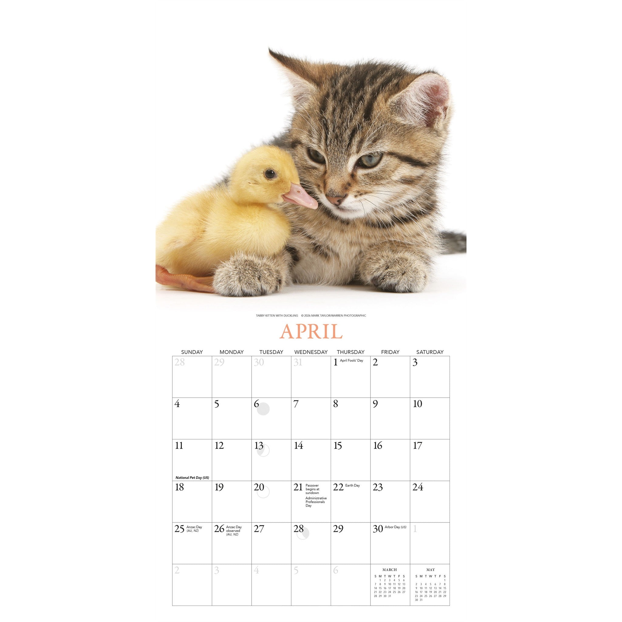 Kittens and Friends 2027 Mini Calendar