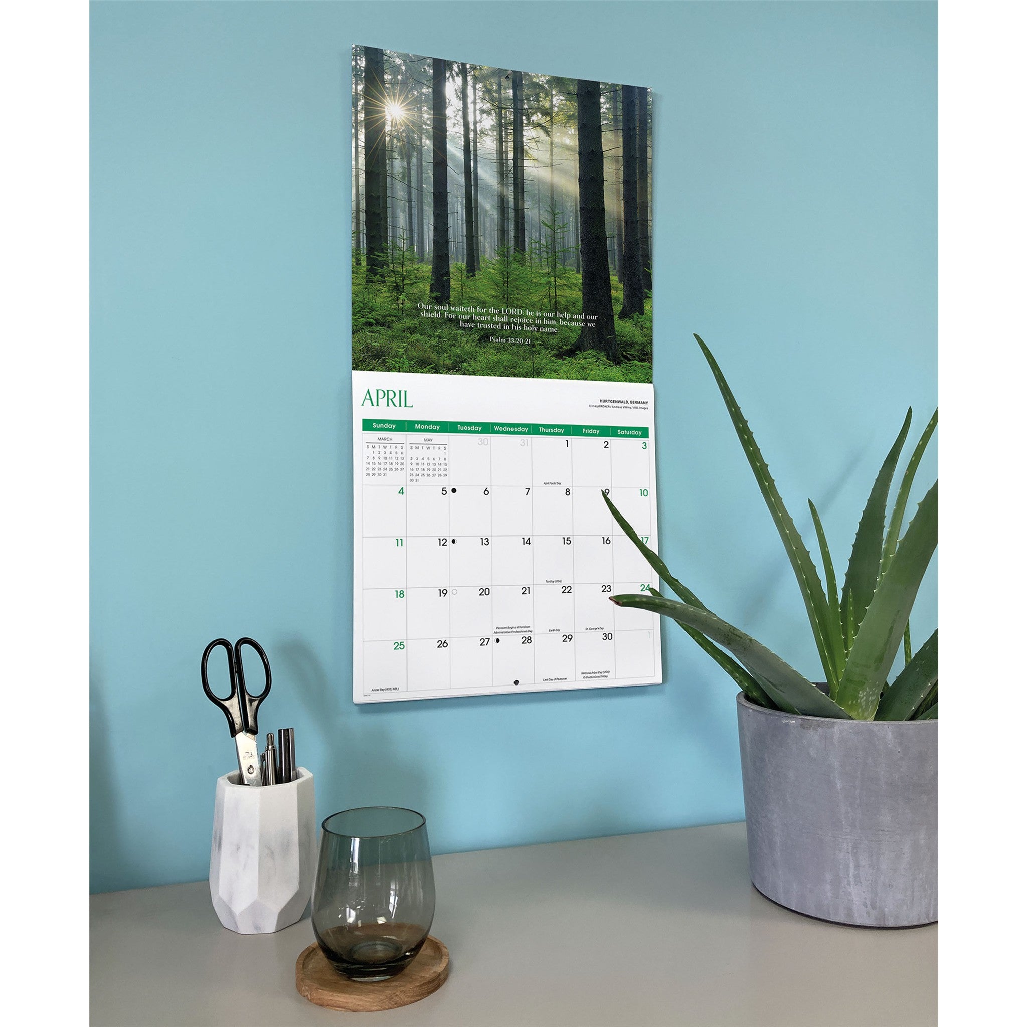 Psalms 2027 Wall Calendar