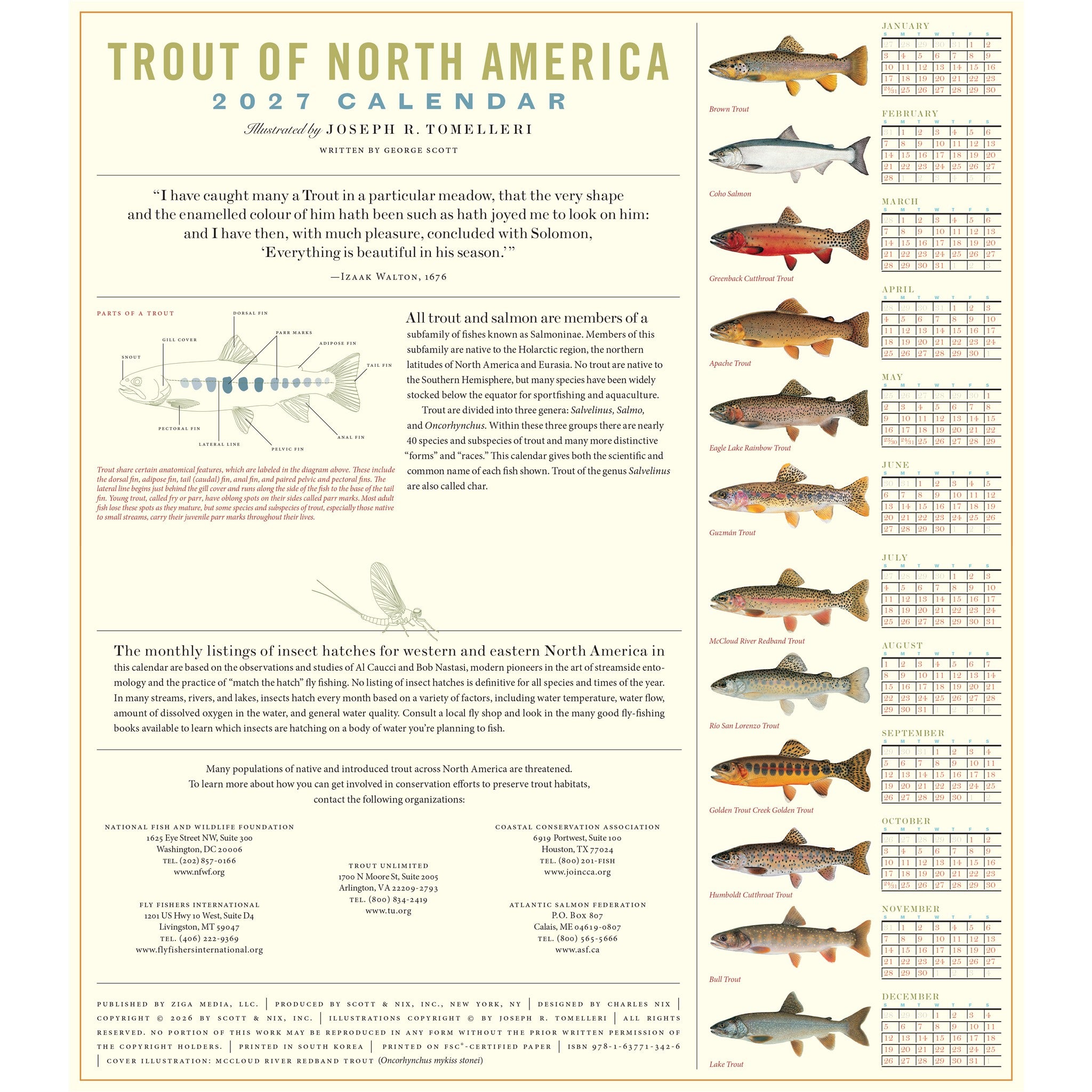Trout of North America 2027 Wall Calendar