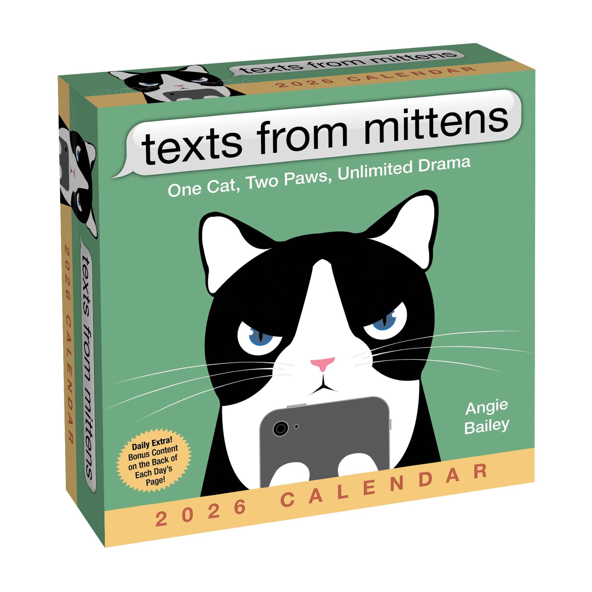 Texts From Mittens The Cat 2026 Box Calendar