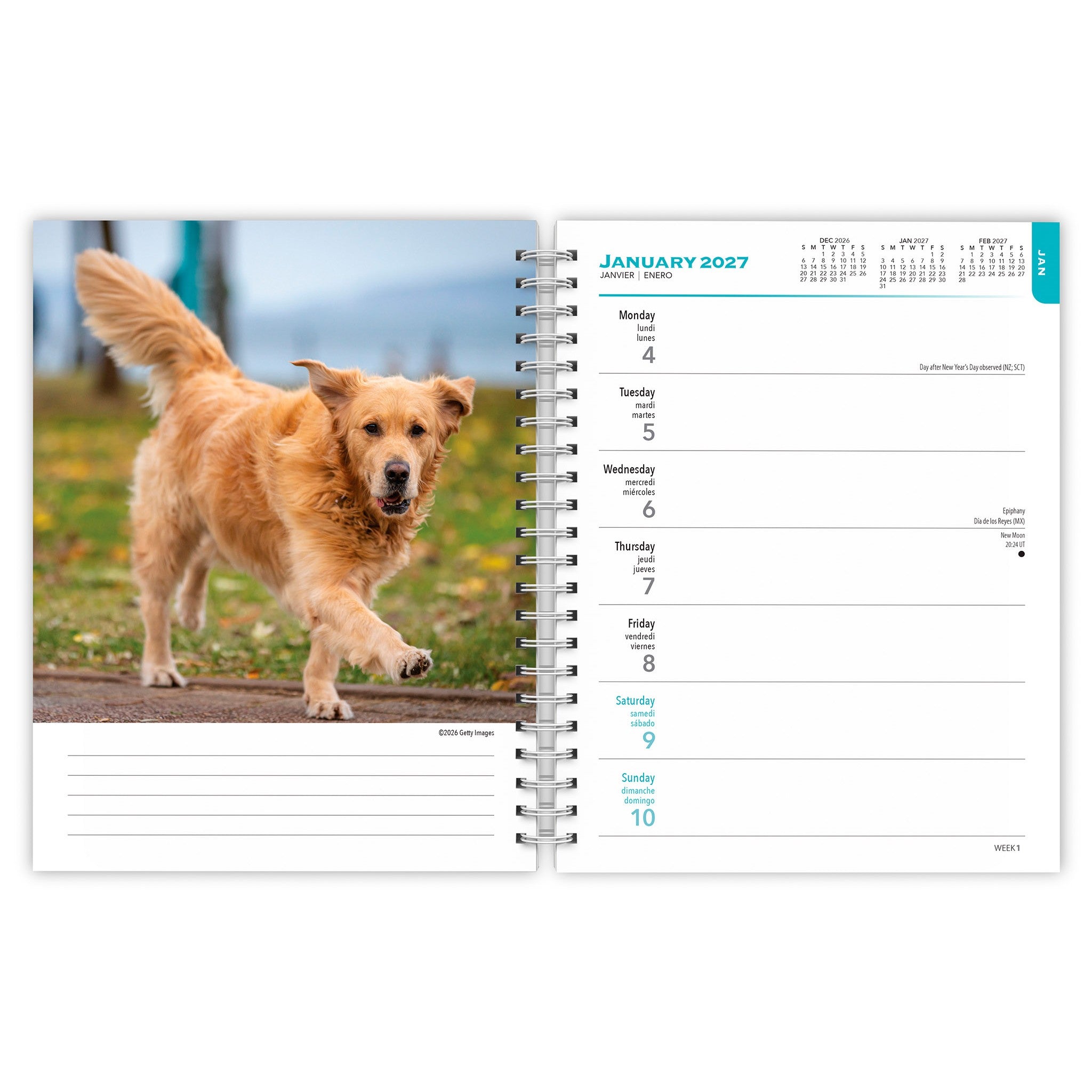 Golden Retrievers 2027 Engagement Calendar - Online Only