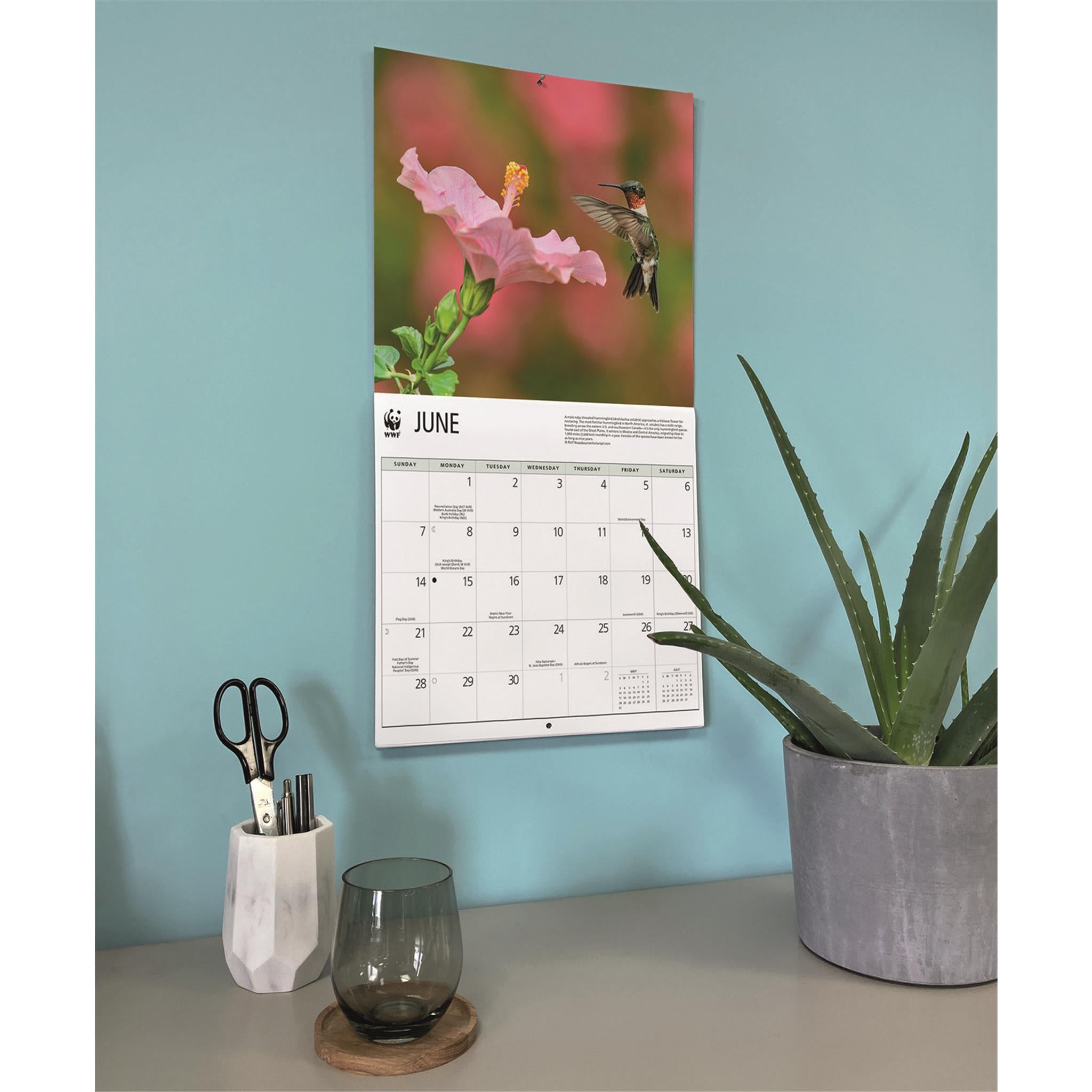World Wildlife Fund Hummingbirds 2026 Wall Calendar