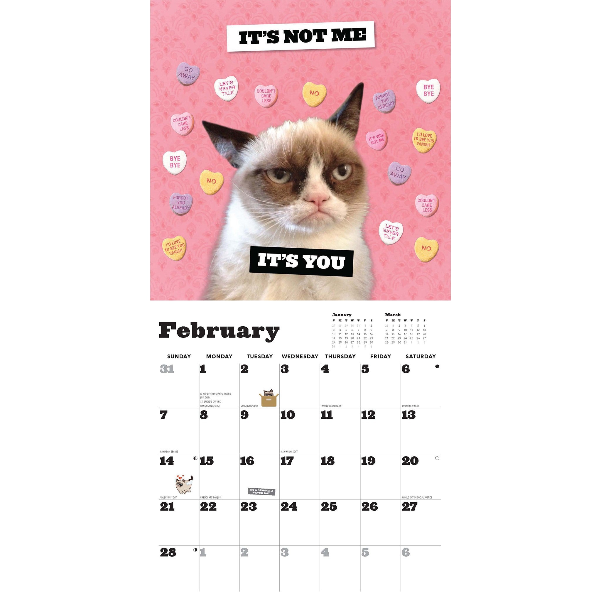 Grumpy Cat 2027 Wall Calendar