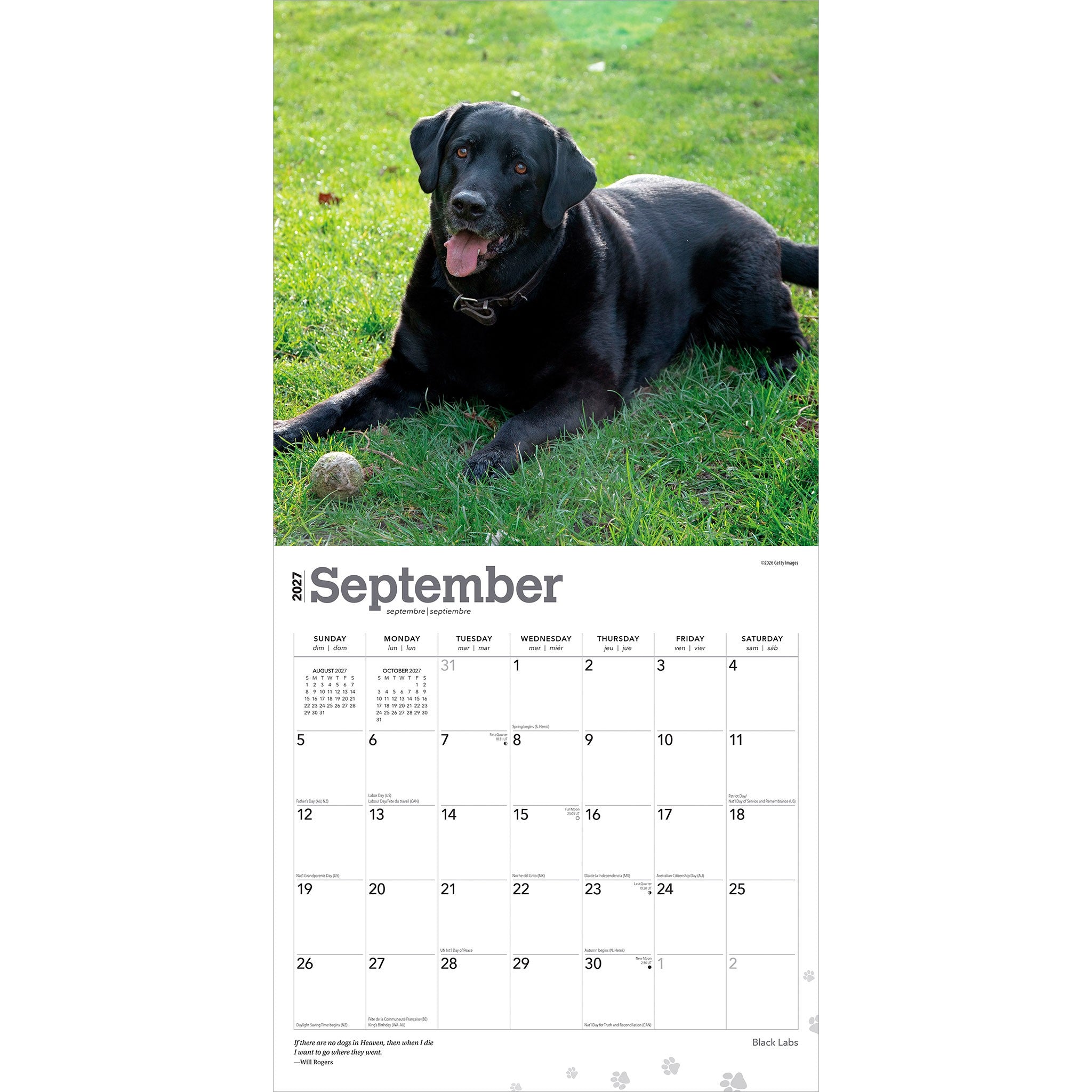 Black Labs 2027 Wall Calendar