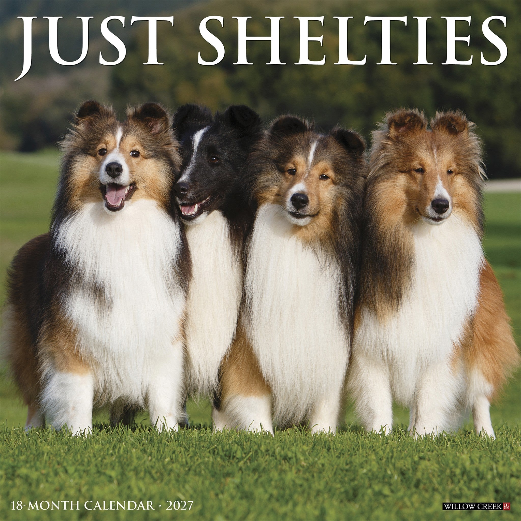 Shelties 2027 Wall Calendar