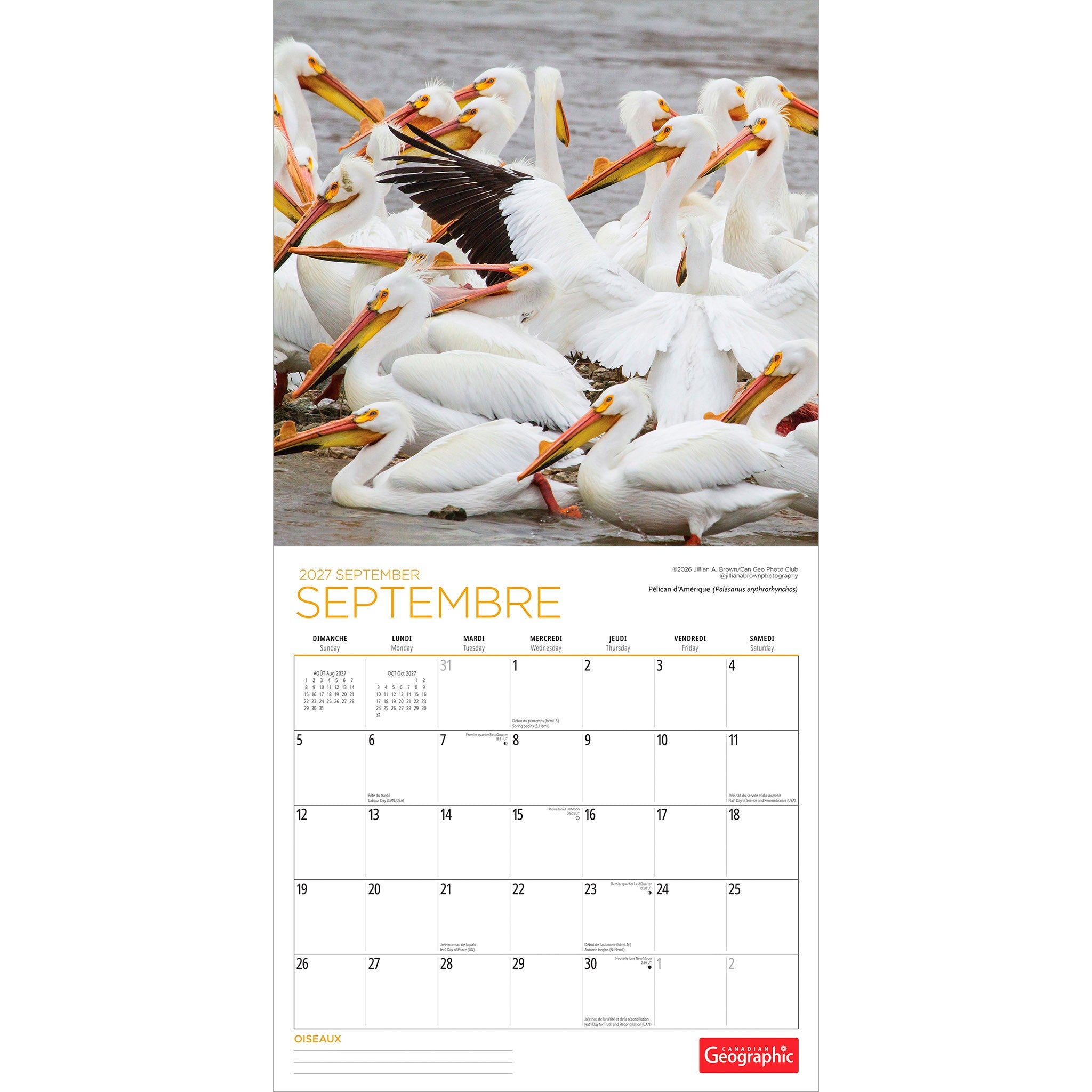 Canadian Geographic Oiseaux 2027 Wall Calendar (French)
