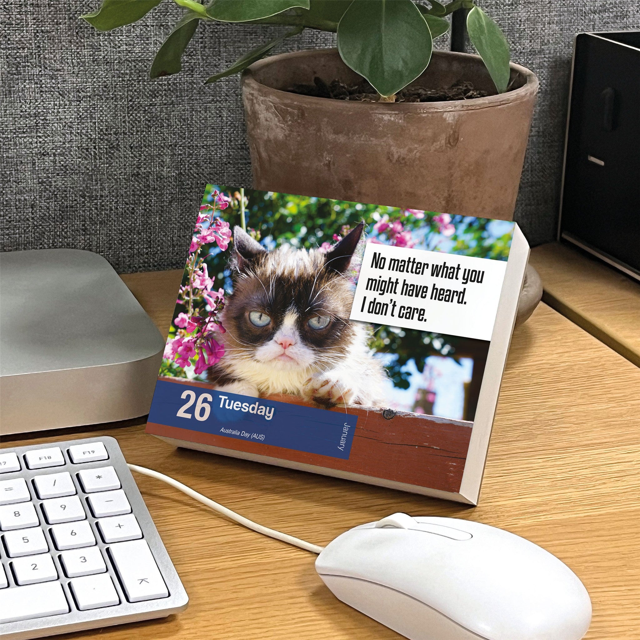 Grumpy Cat 2027 Box Calendar