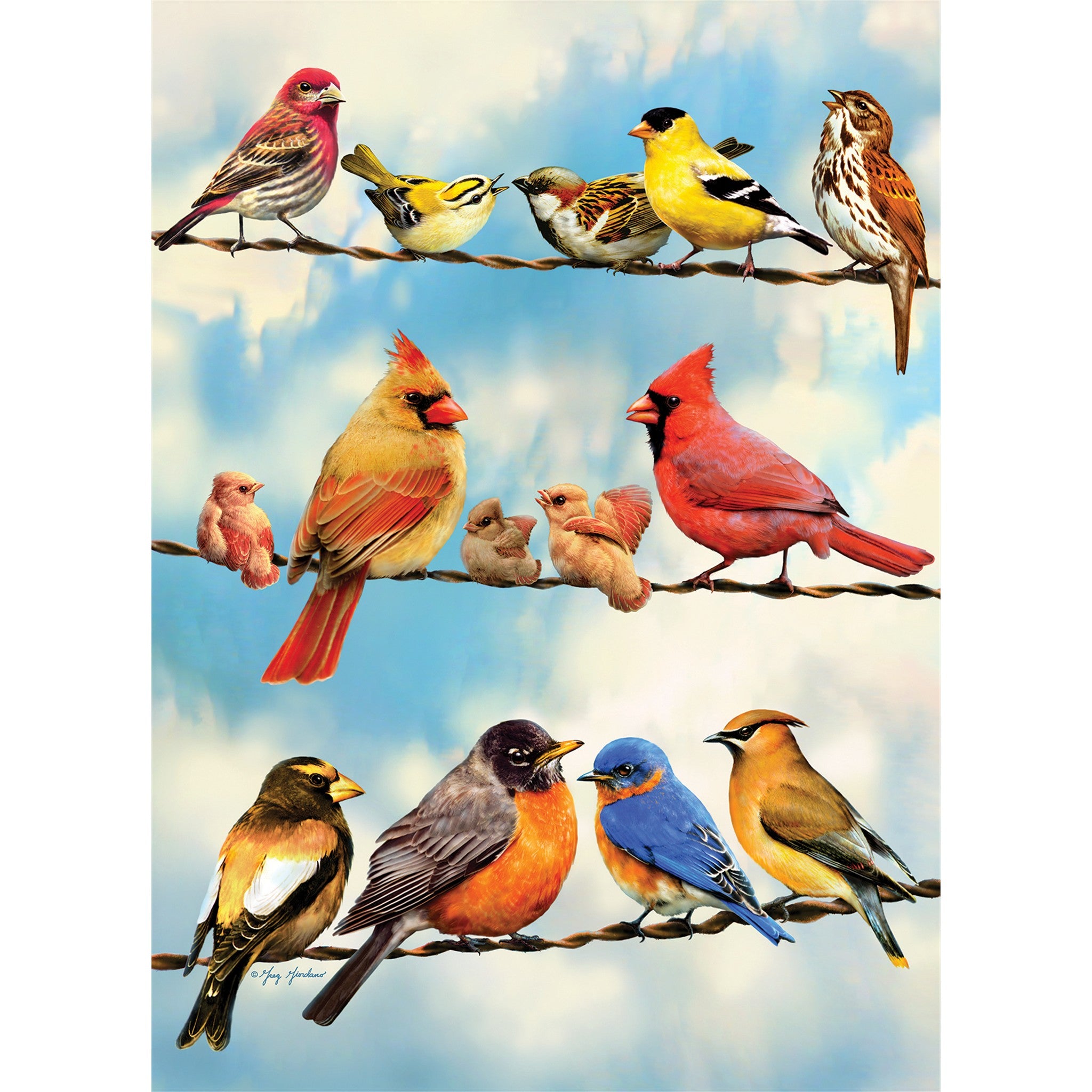 Birds on a Wire 500 Piece Puzzle