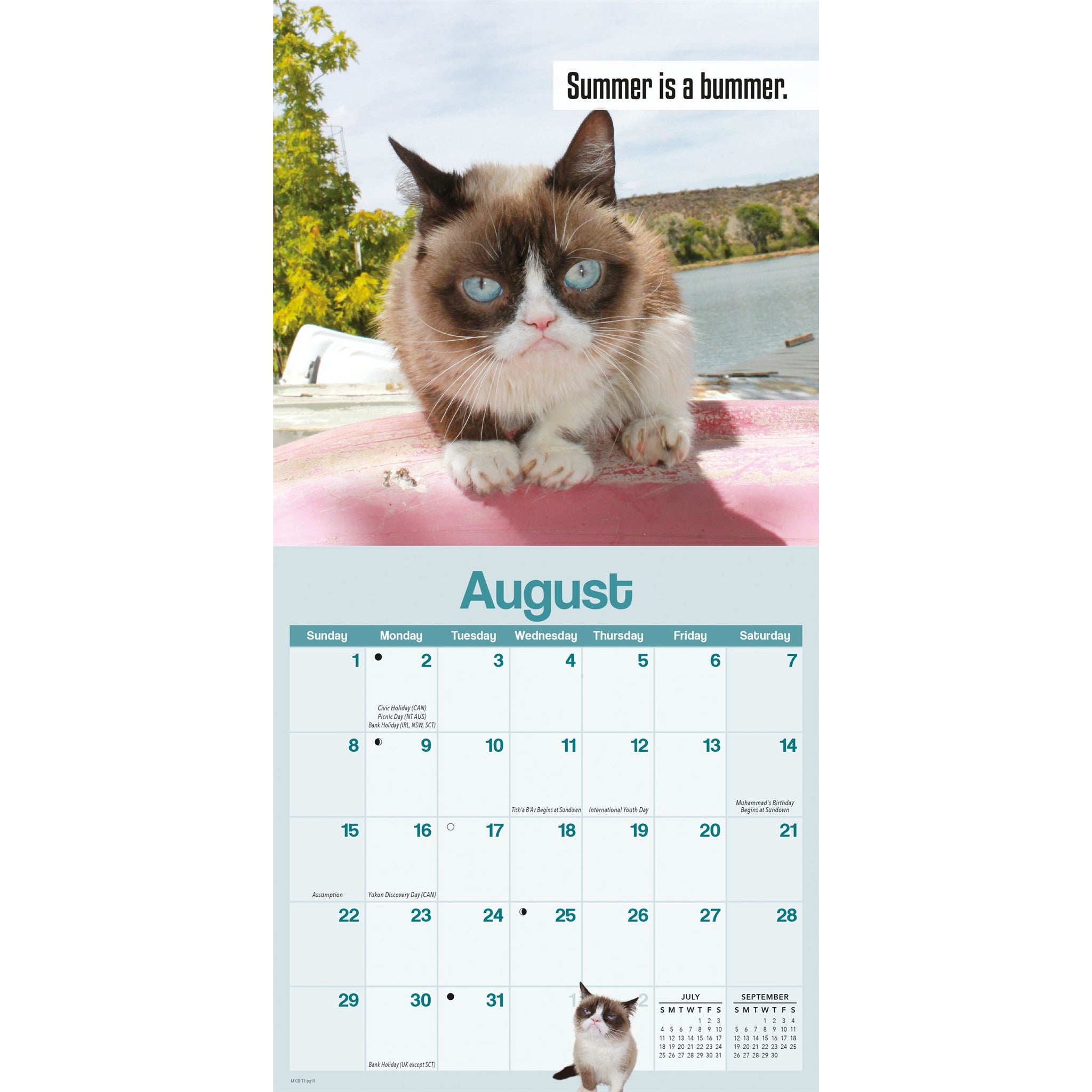 Grumpy Cat 2027 Mini Calendar