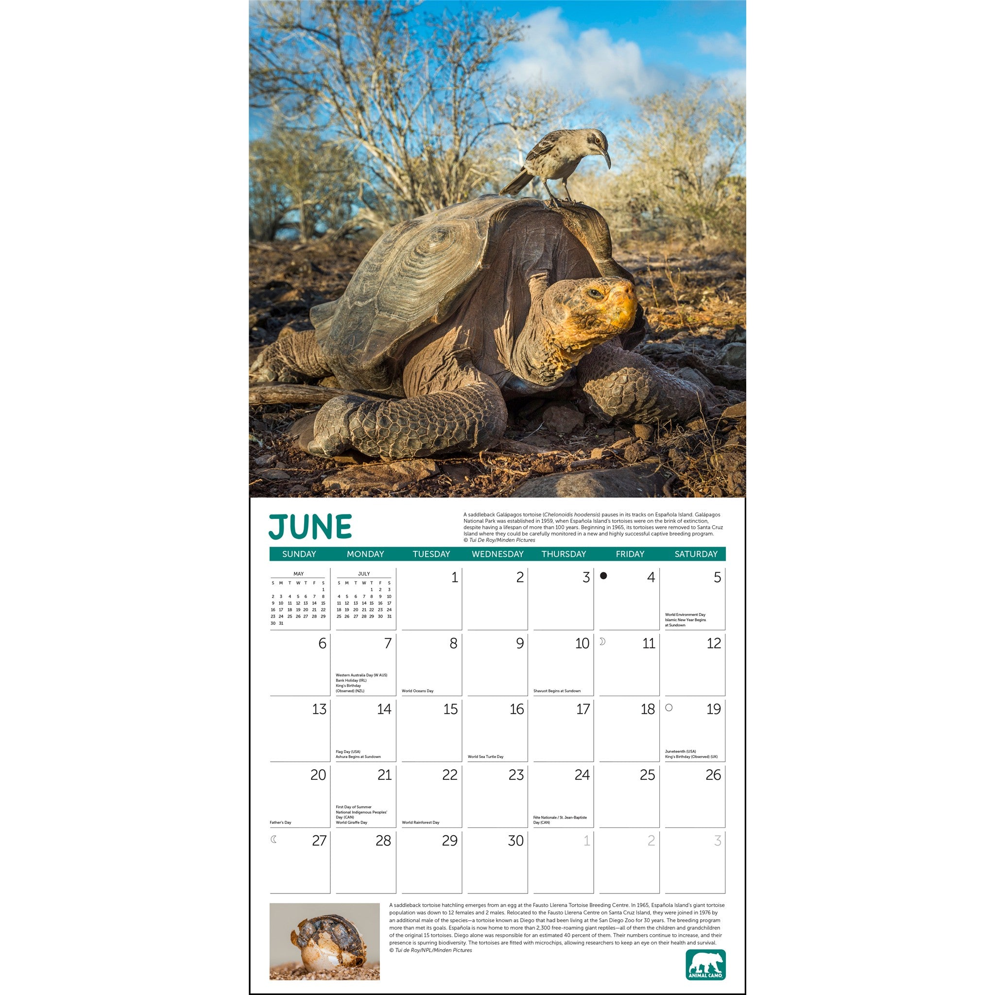Project Green 2027 Wall Calendar