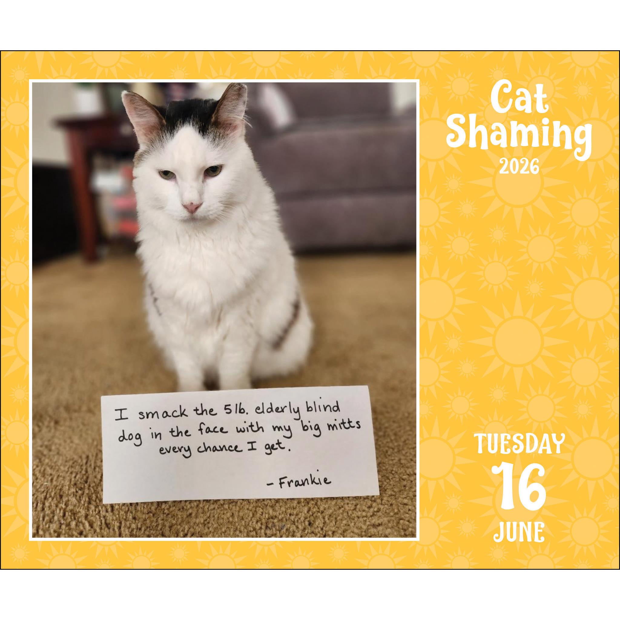 Cat Shaming 2026 Box Calendar