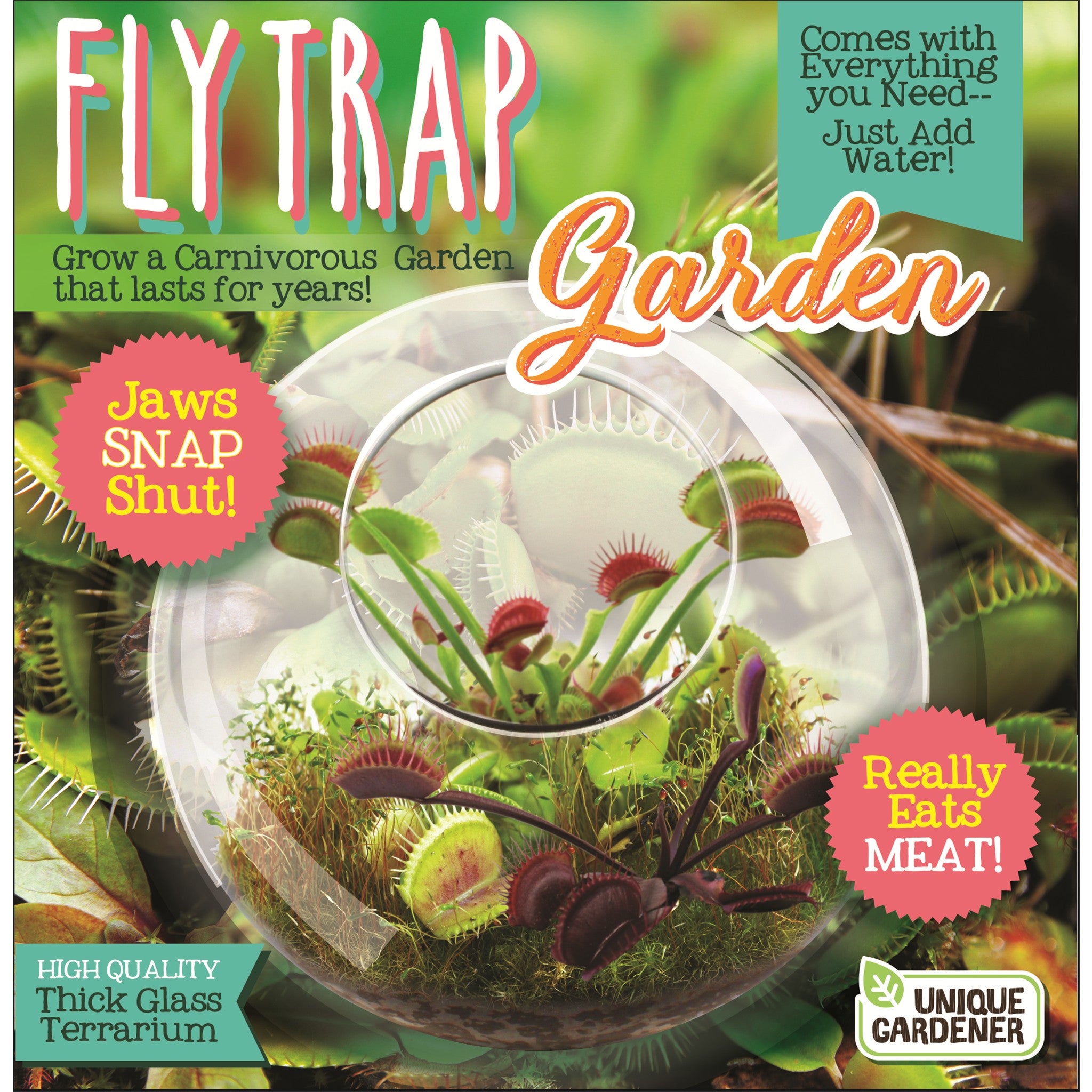 Fly Trap Garden